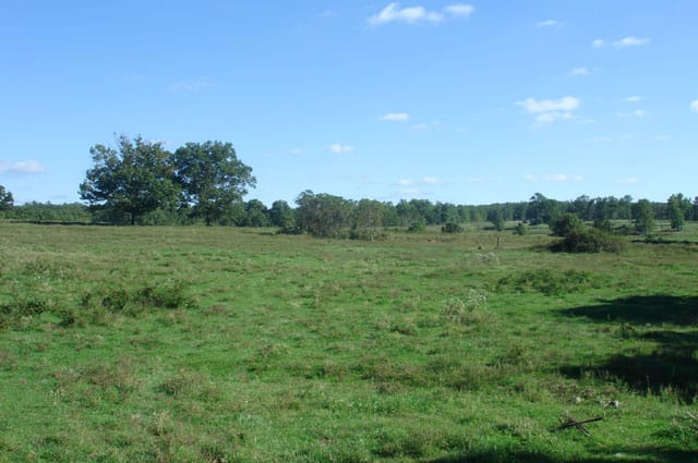 Valley View Ranch Tract 4 photo 9