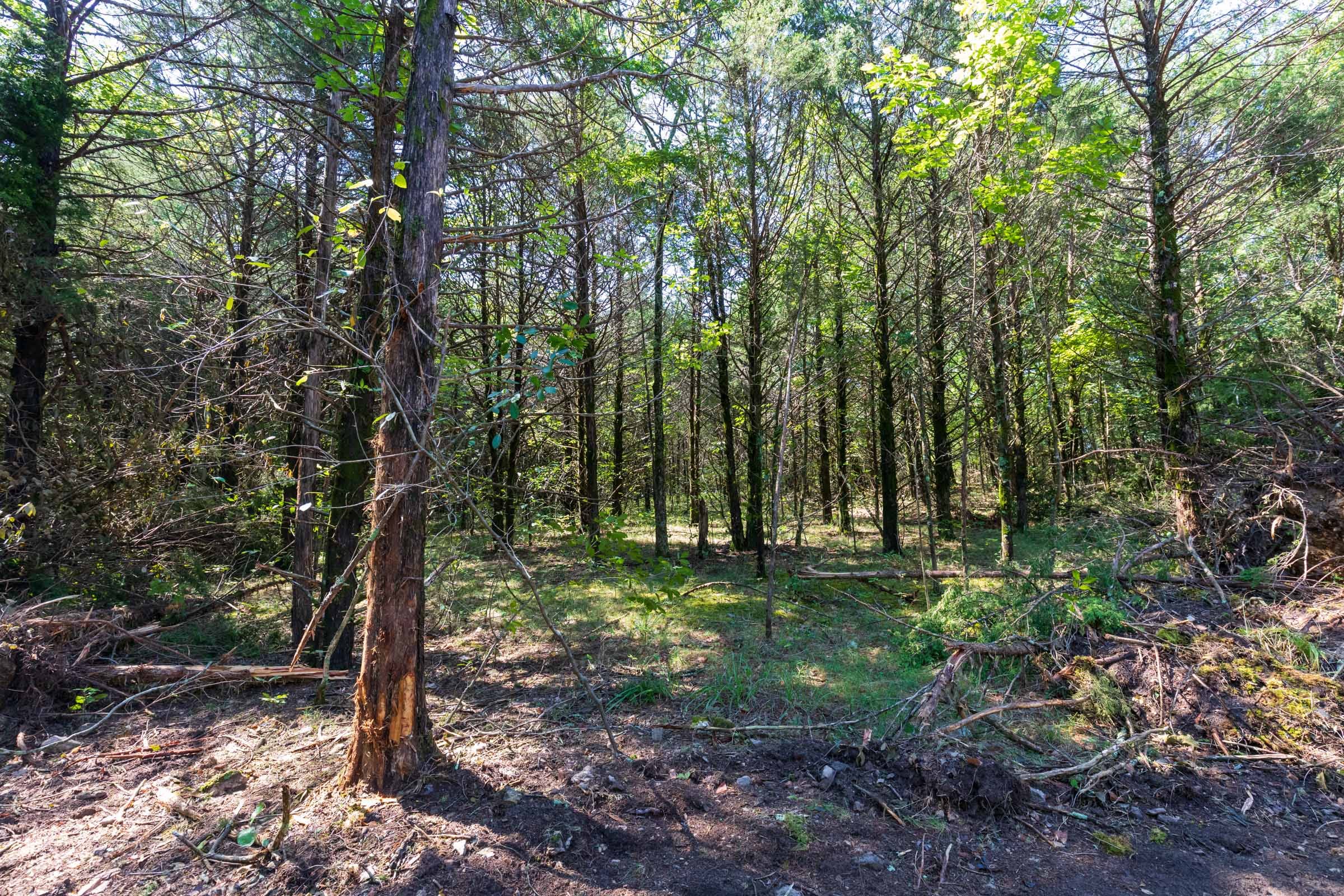 Heritage Bend Tract 28 photo 2