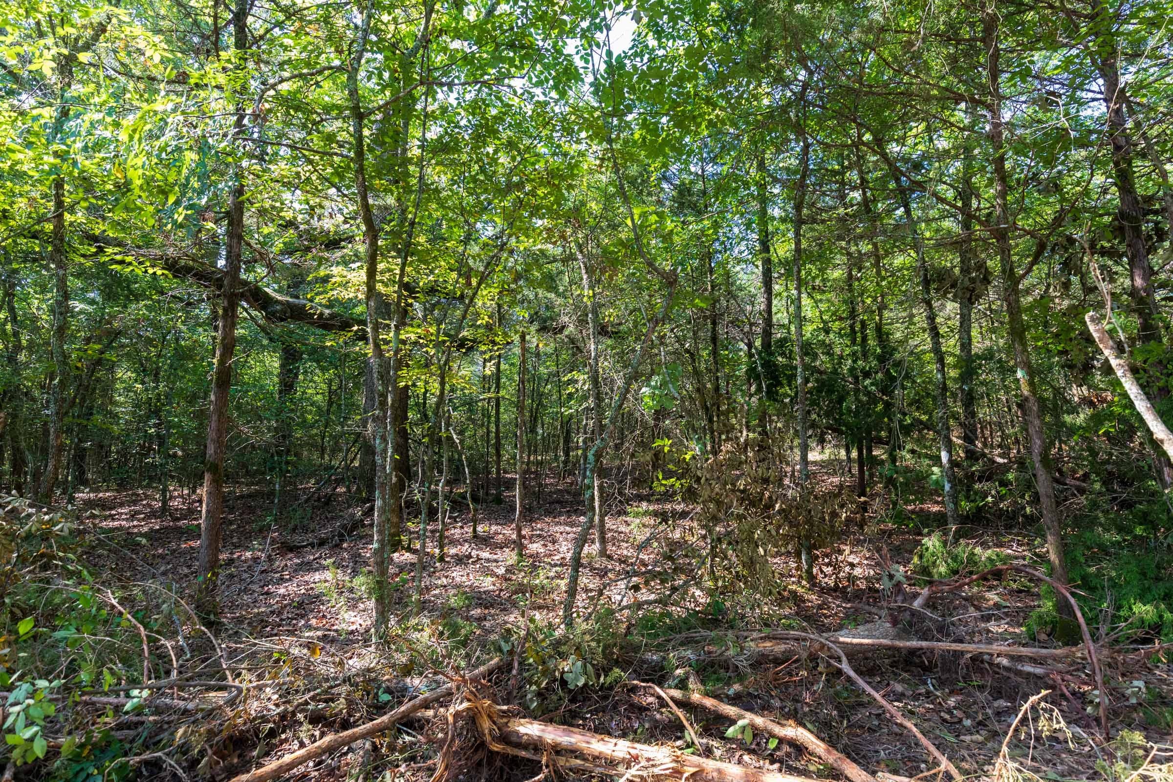 Heritage Bend Tract 28 photo 4