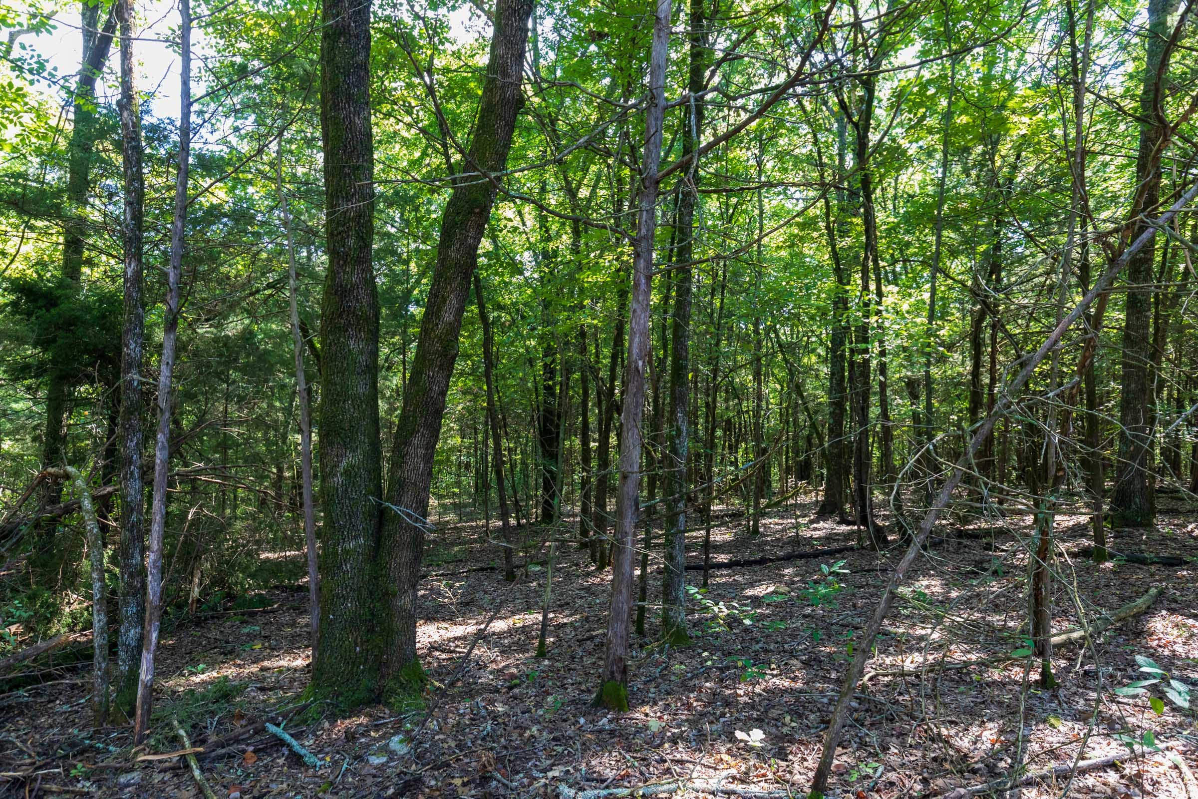 Heritage Bend Tract 28 photo 6