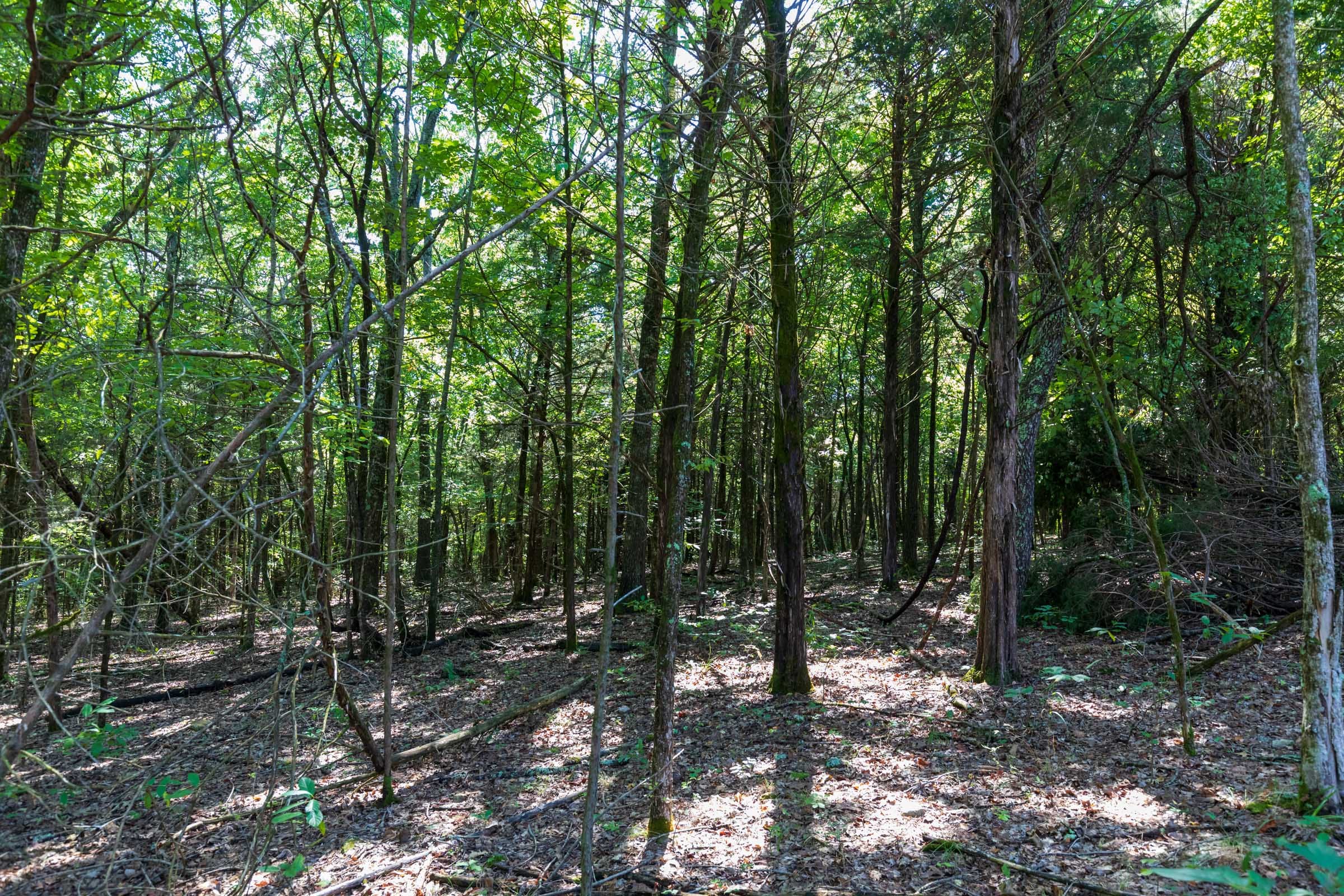 Heritage Bend Tract 28 photo 8