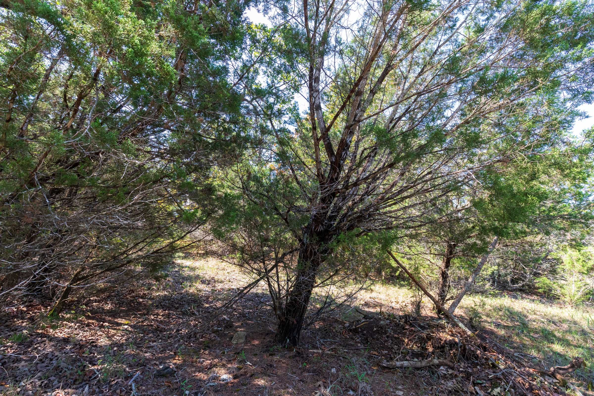Heritage Bend Tract 28 photo 10