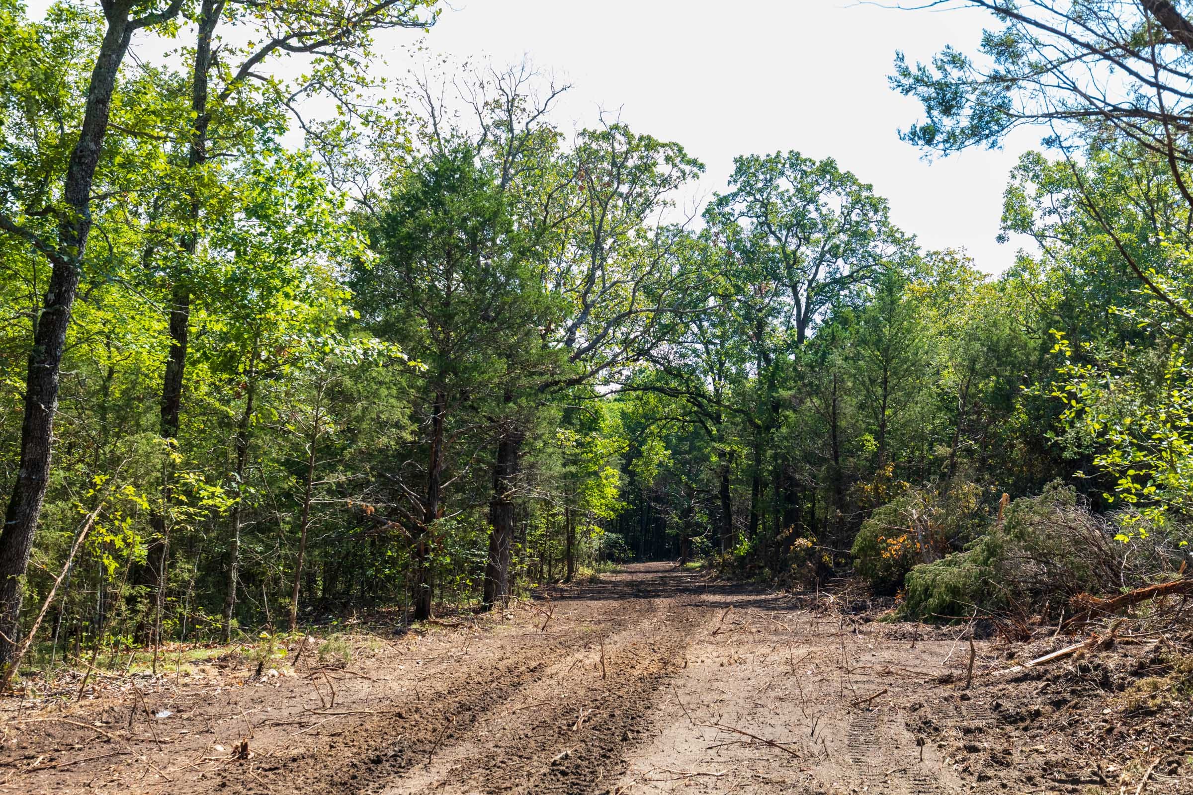 Heritage Bend Tract 28 photo 9