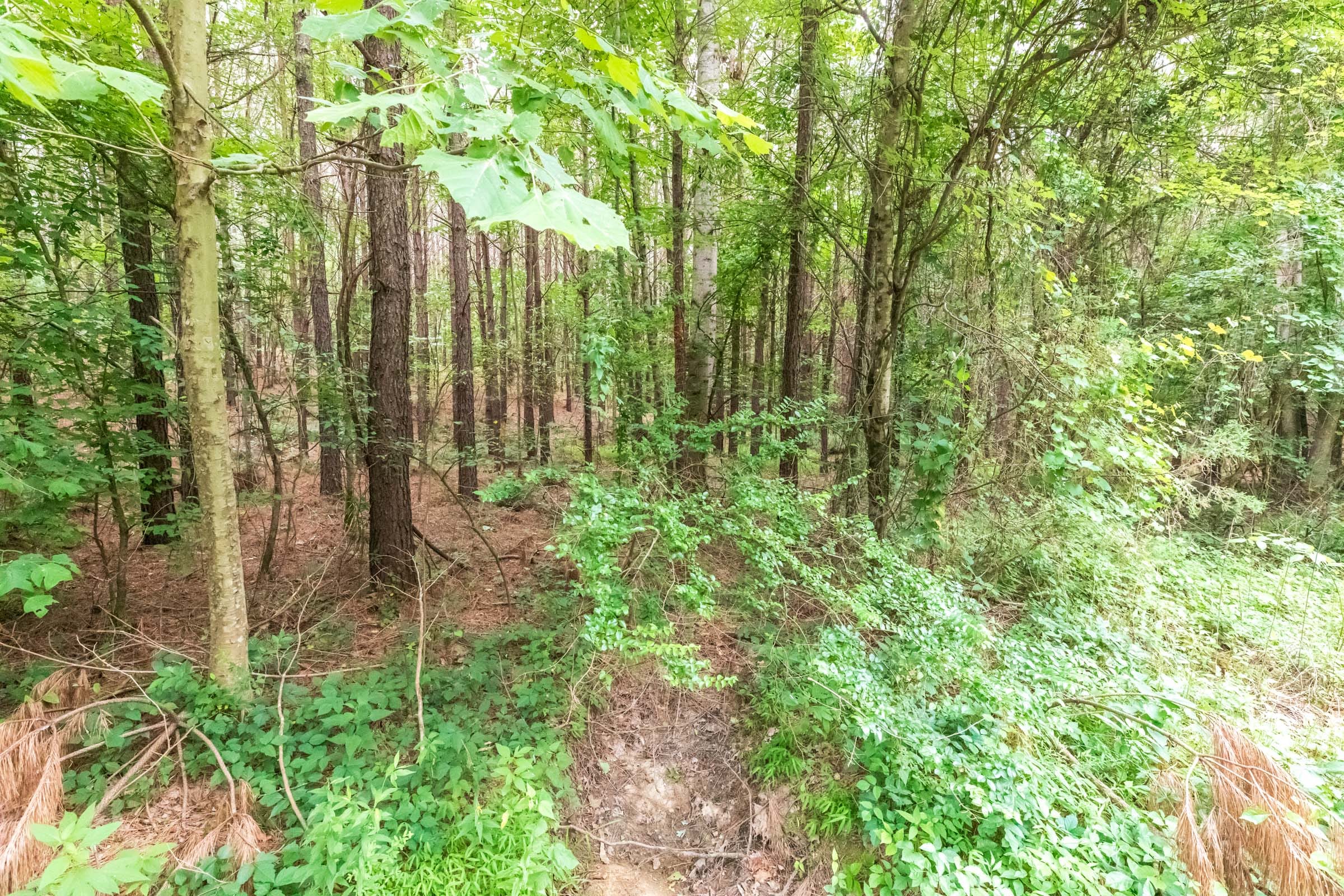 Whiskey Ridge Tract 37 photo 2