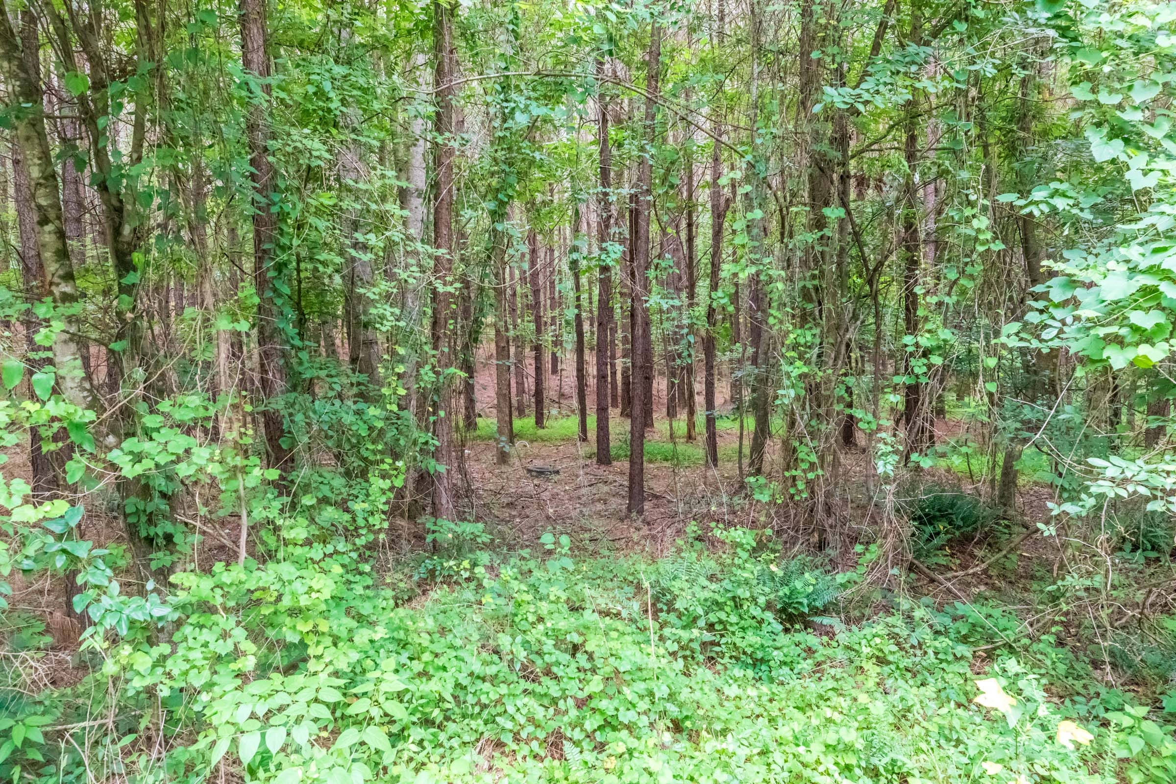 Whiskey Ridge Tract 37 photo 5