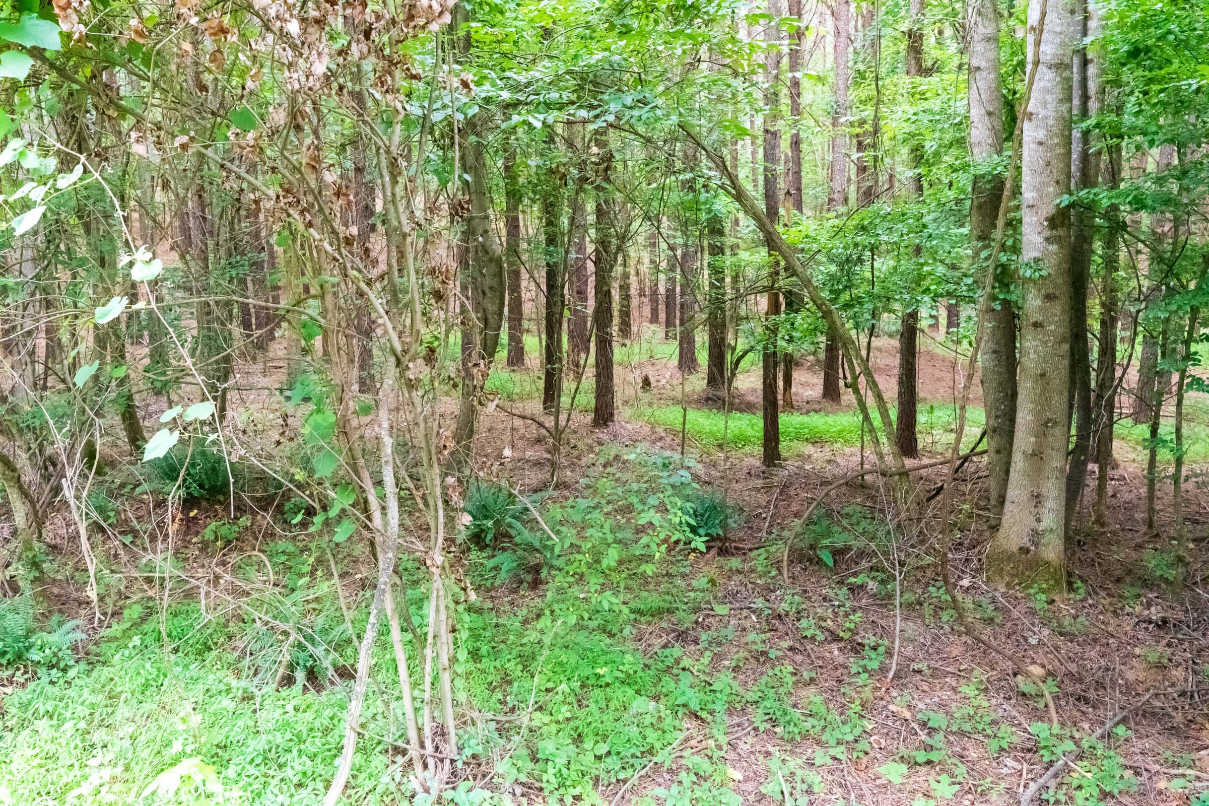 Whiskey Ridge Tract 37 photo 7