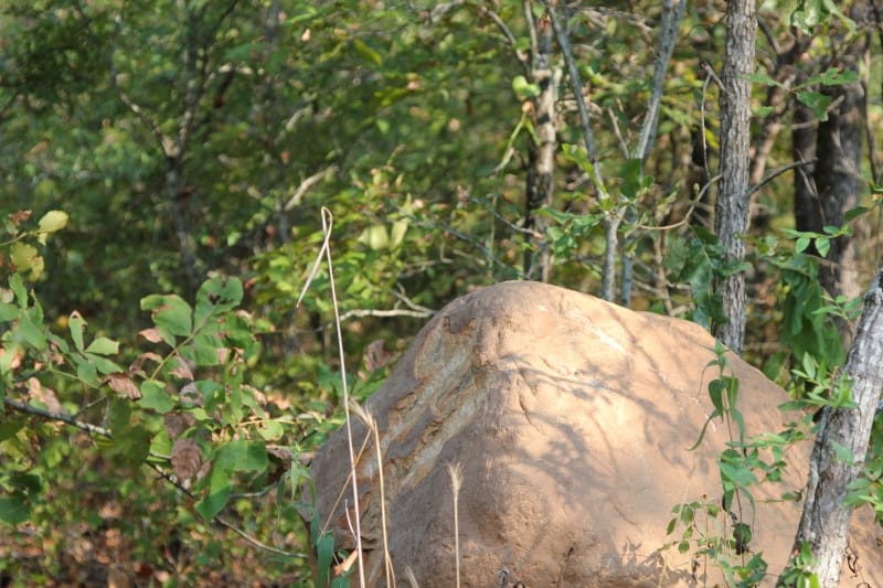 Lake View Ranch Tract 18 photo 1