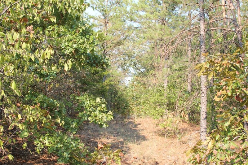 Lake View Ranch Tract 18 photo 4
