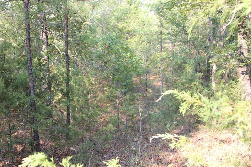 Lake View Ranch Tract 18 photo 5