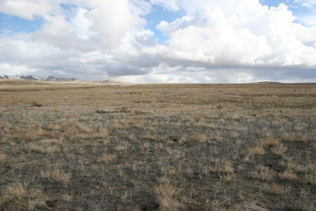 Humboldt County Tract 12 photo 2