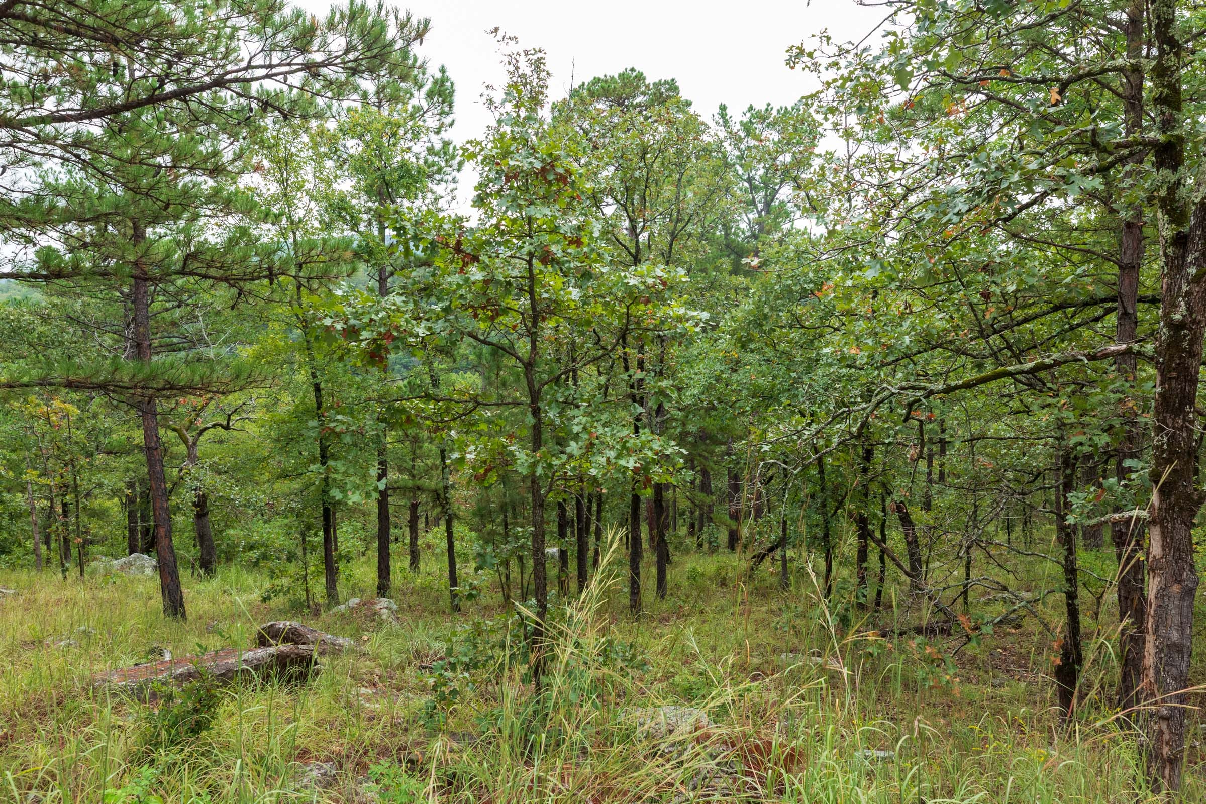Stone Bridge Phase V Tract 424 photo 11