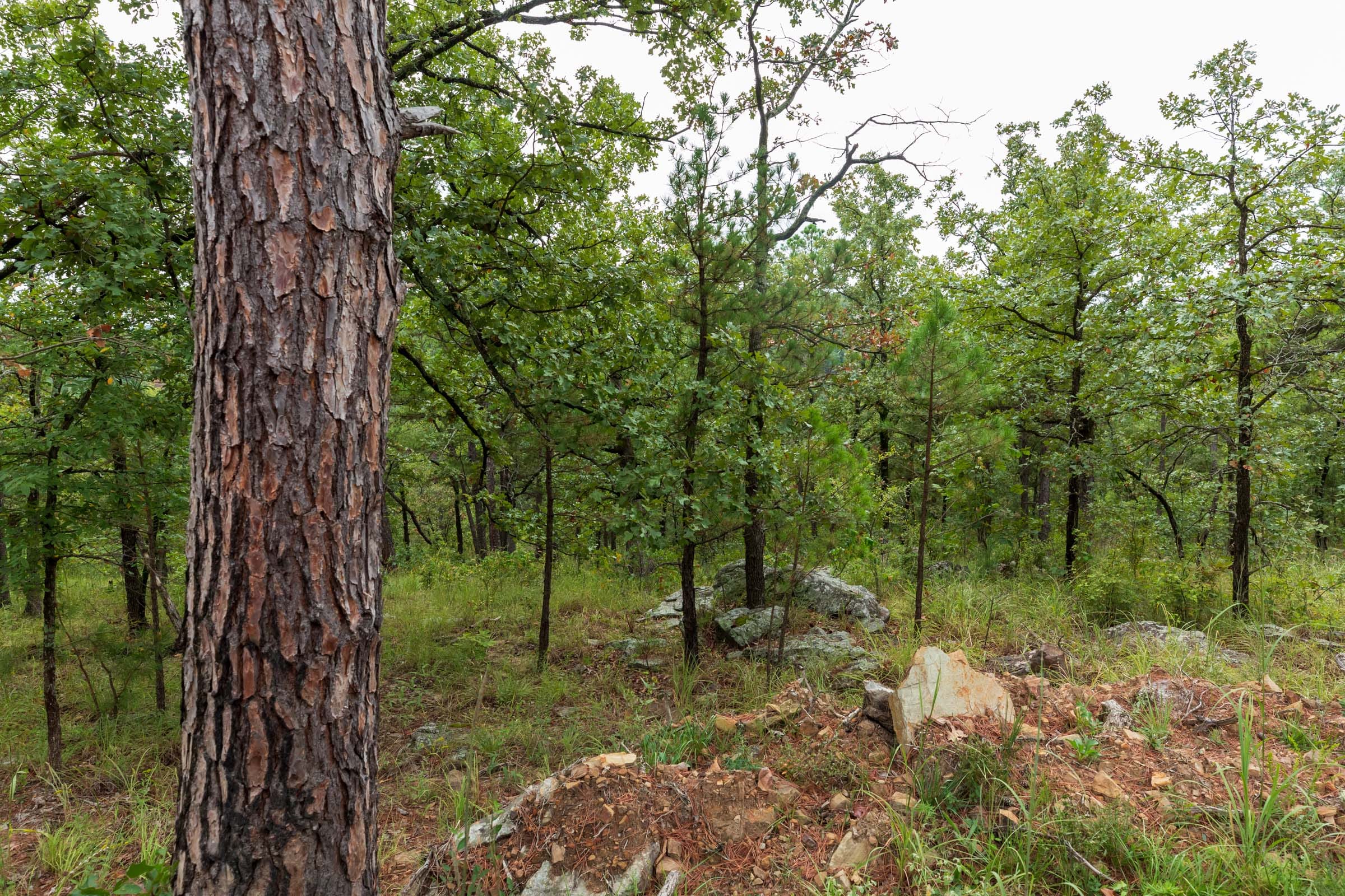 Stone Bridge Phase V Tract 424 photo 15