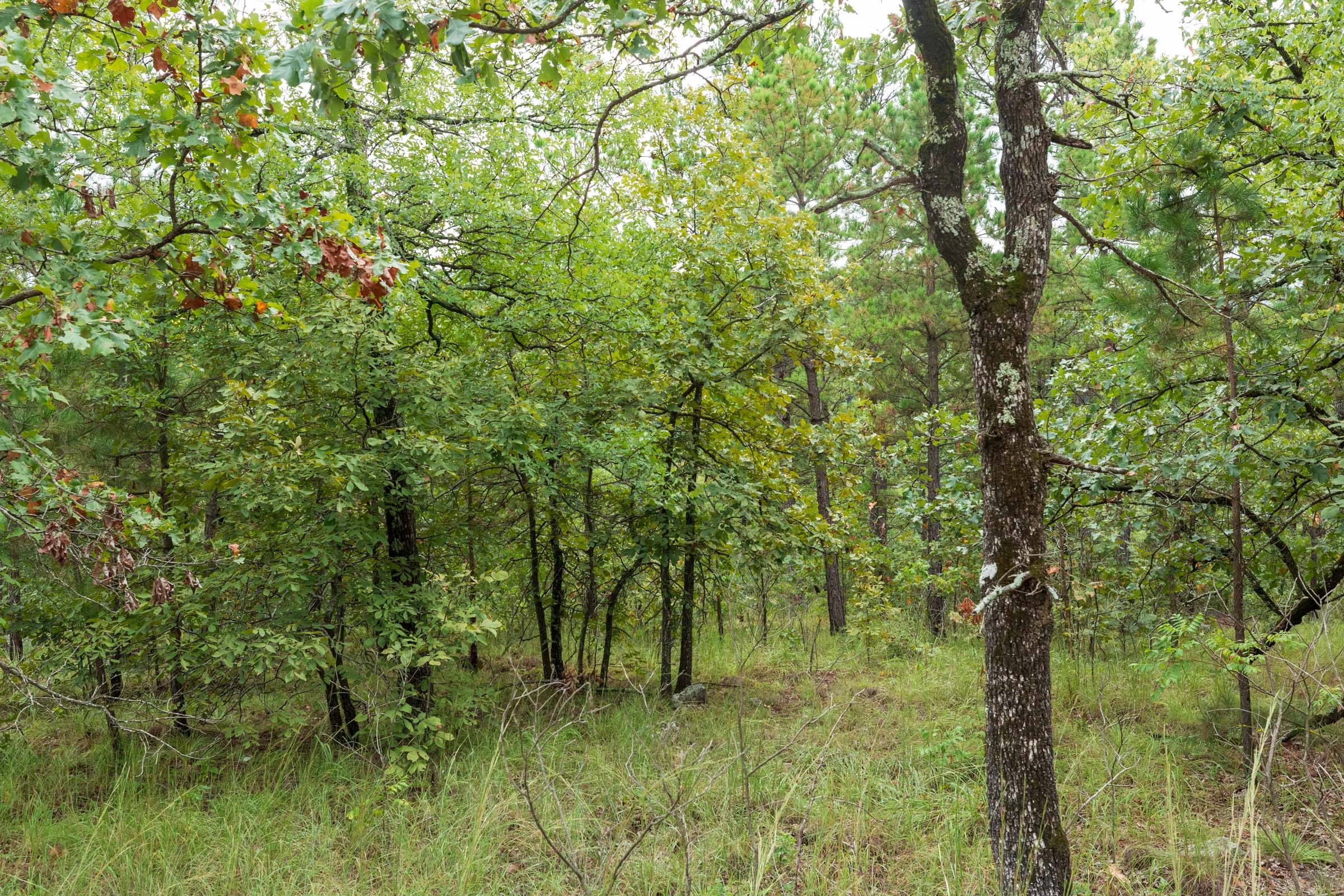 Stone Bridge Phase V Tract 424 photo 12