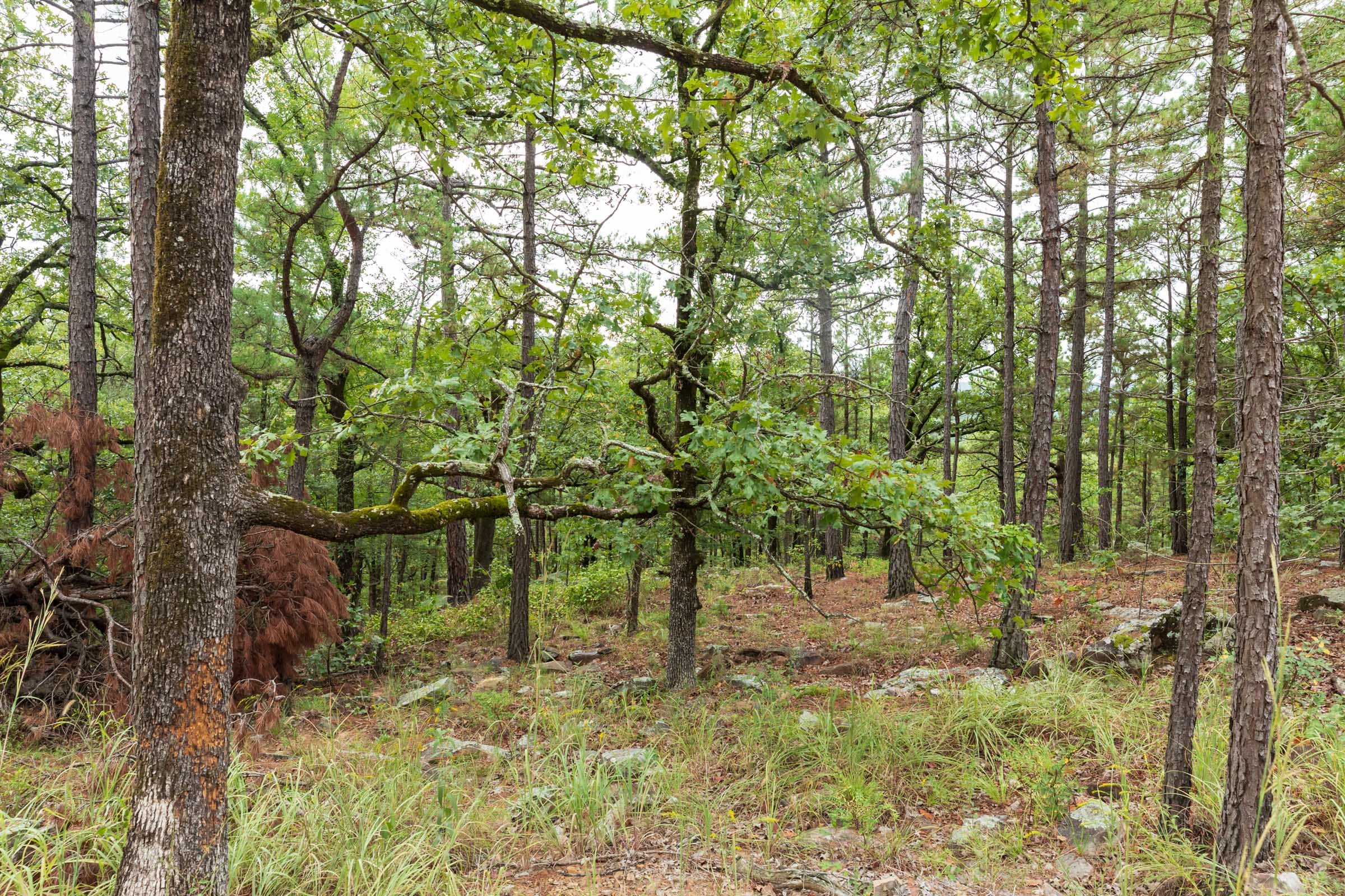 Stone Bridge Phase V Tract 424 photo 14