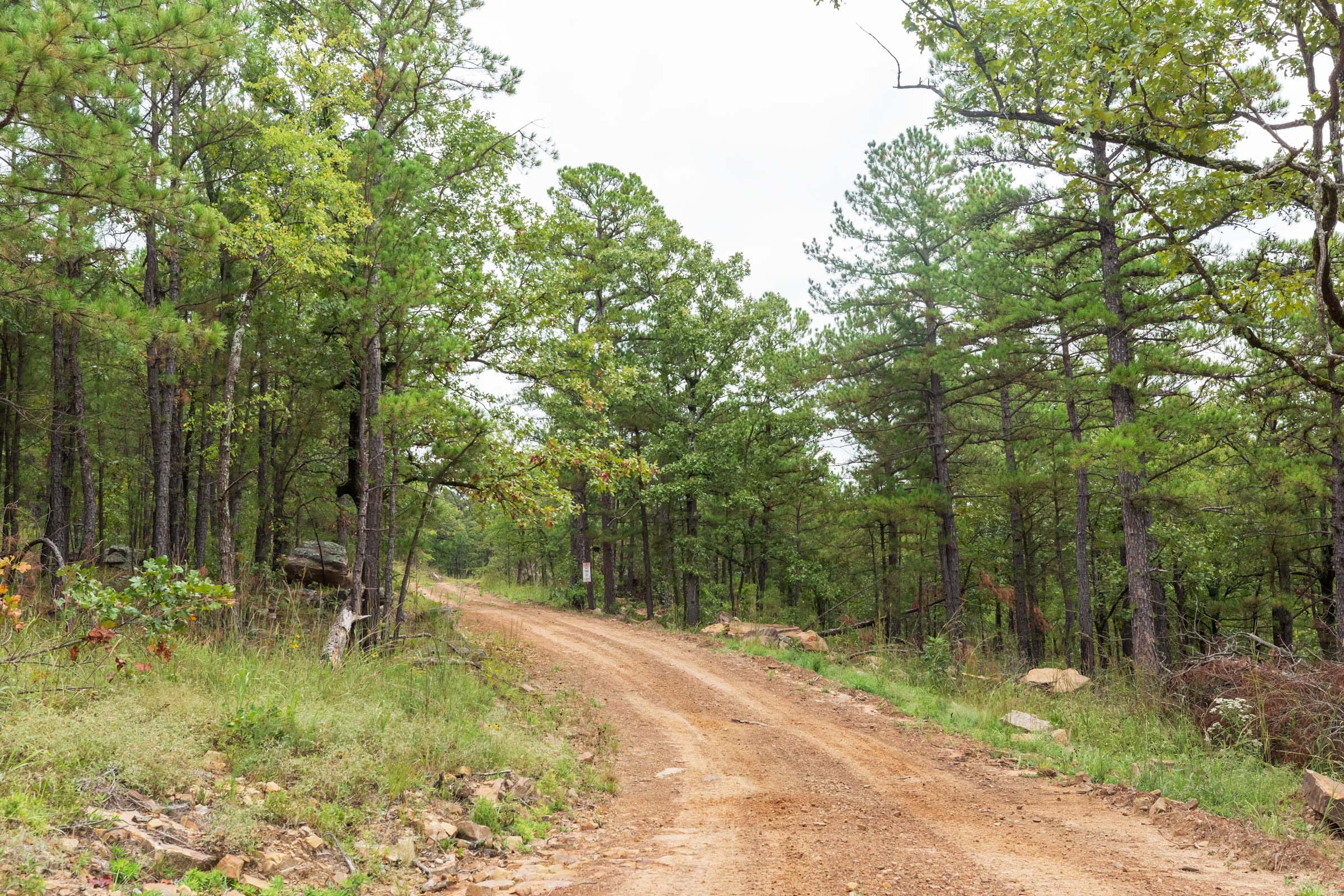 Stone Bridge Phase V Tract 424 photo 18