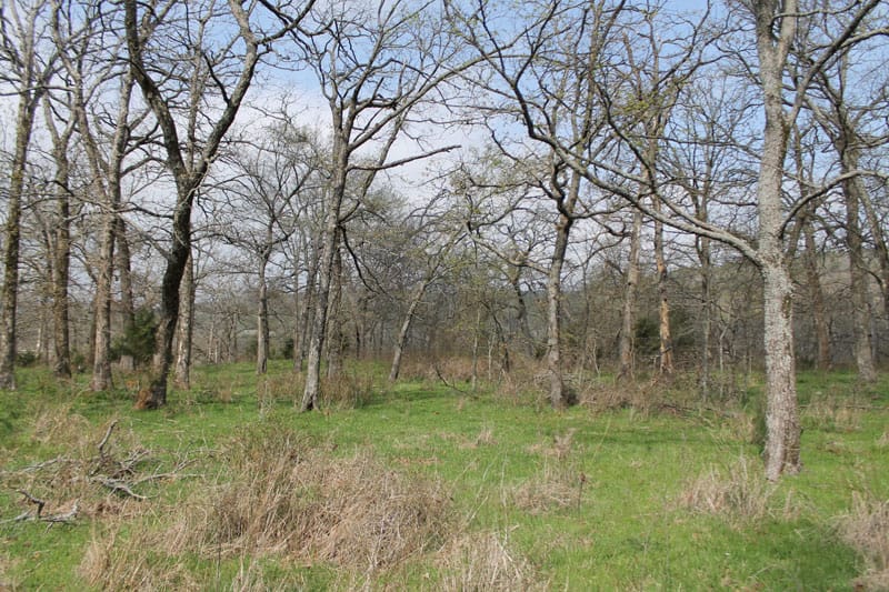 Daisy Meadows Tract 4 photo 2