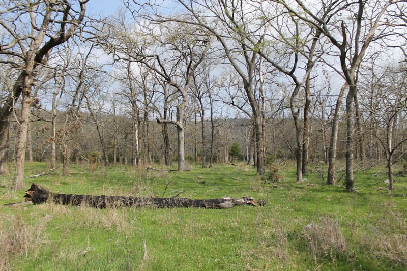 Daisy Meadows Tract 4 photo 3