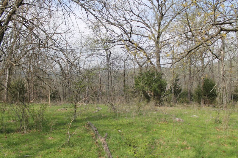 Daisy Meadows Tract 4 photo 4