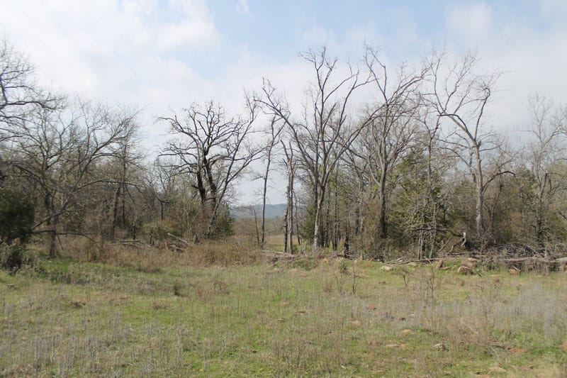 Daisy Meadows Tract 4 photo 7