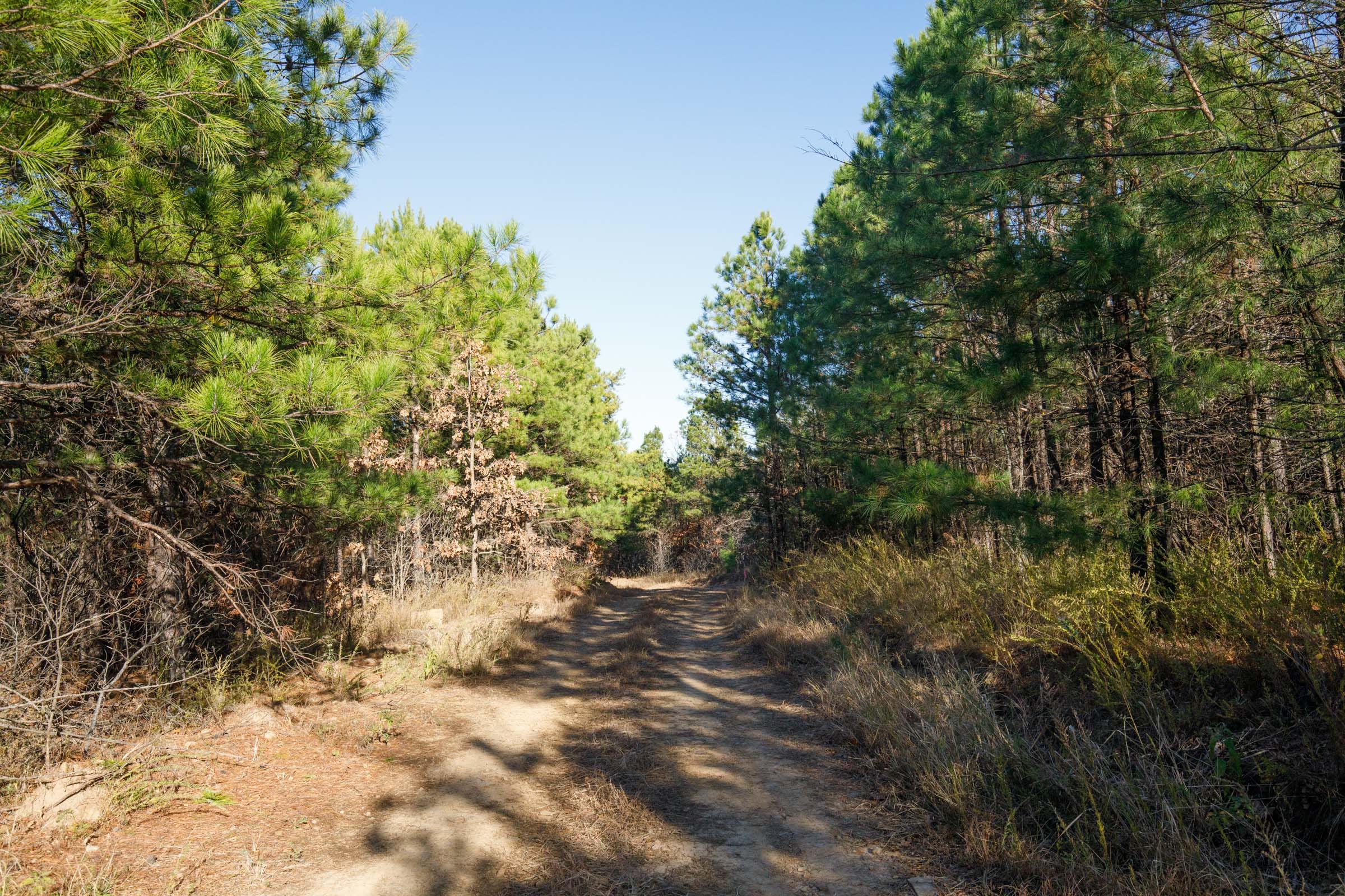 Stone Bridge Phase II Tract 81 photo 1
