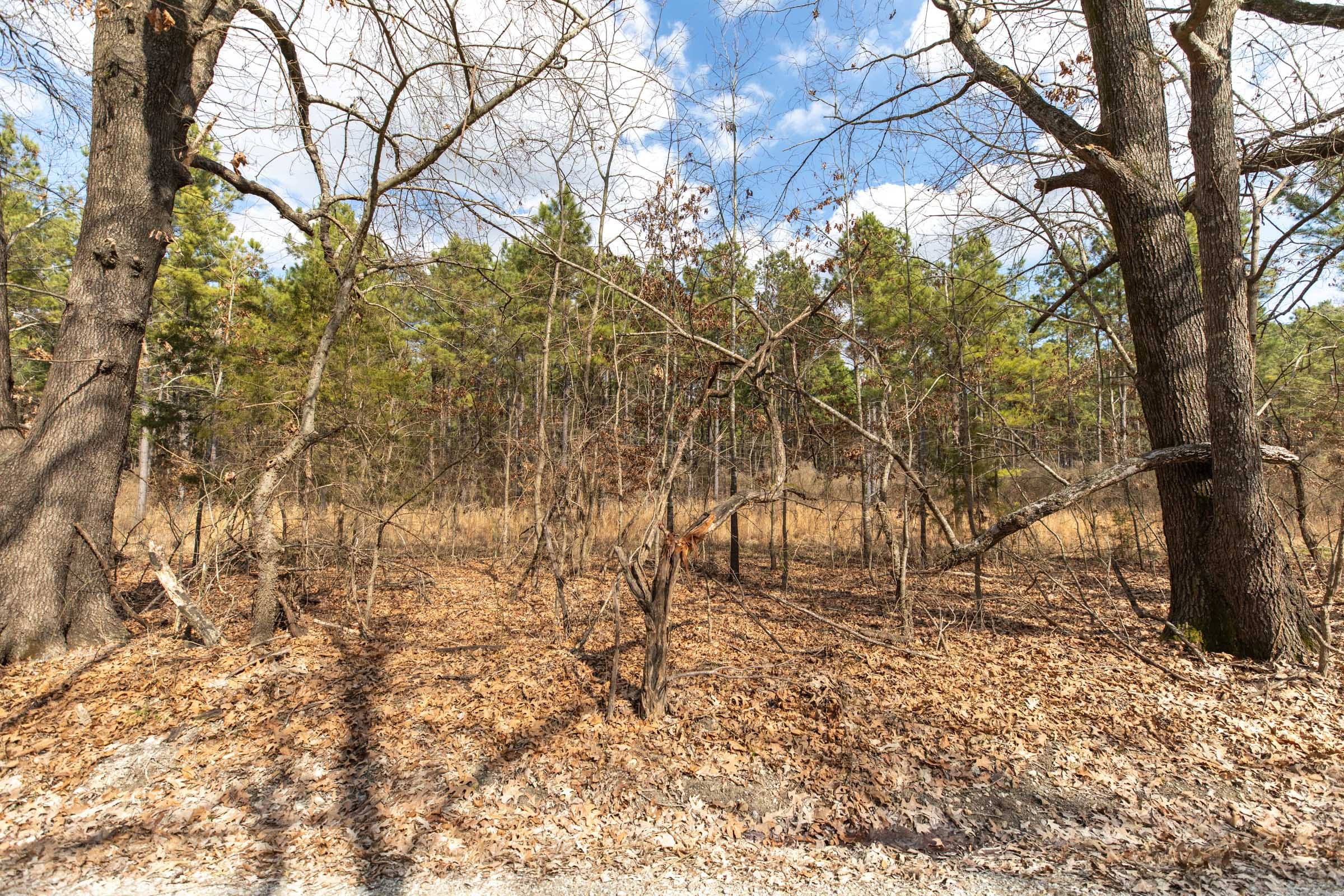 Wishing Star Ranch Tract 58 photo 2