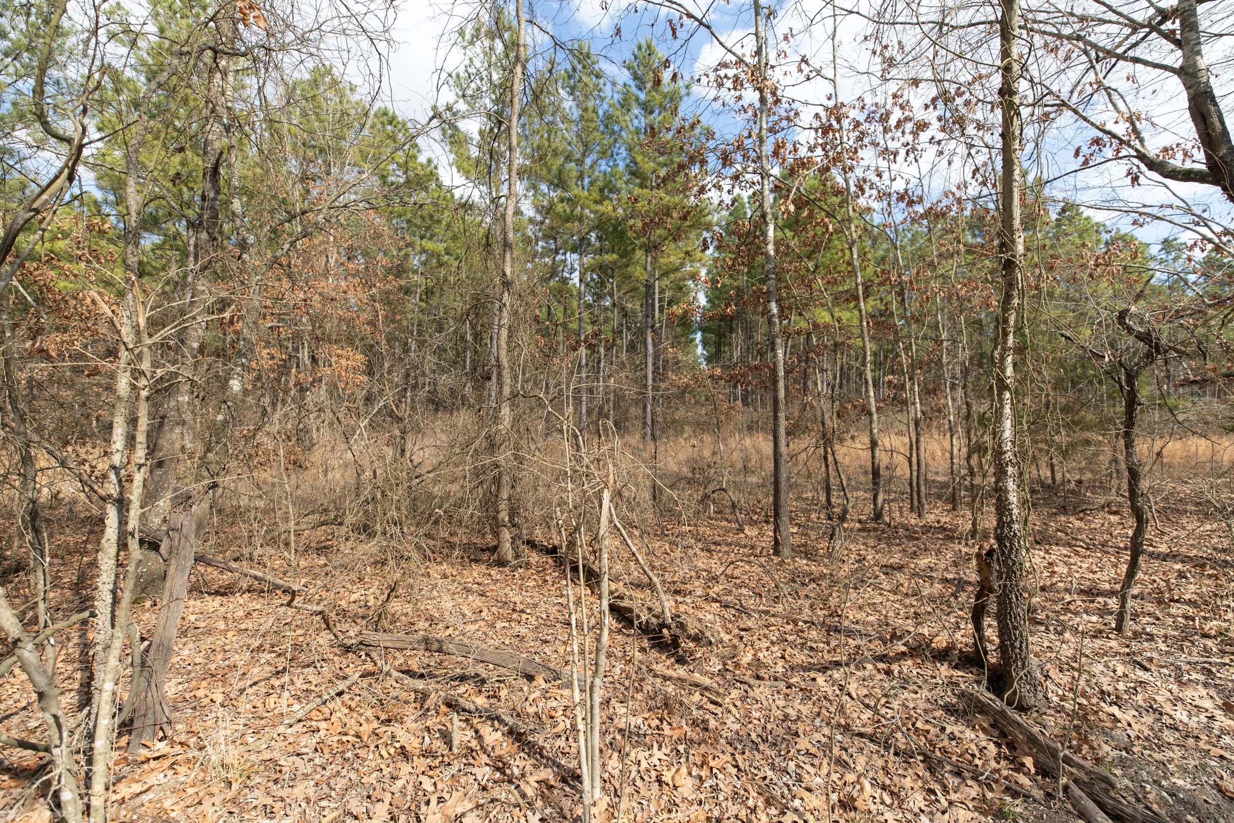 Wishing Star Ranch Tract 58 photo 3