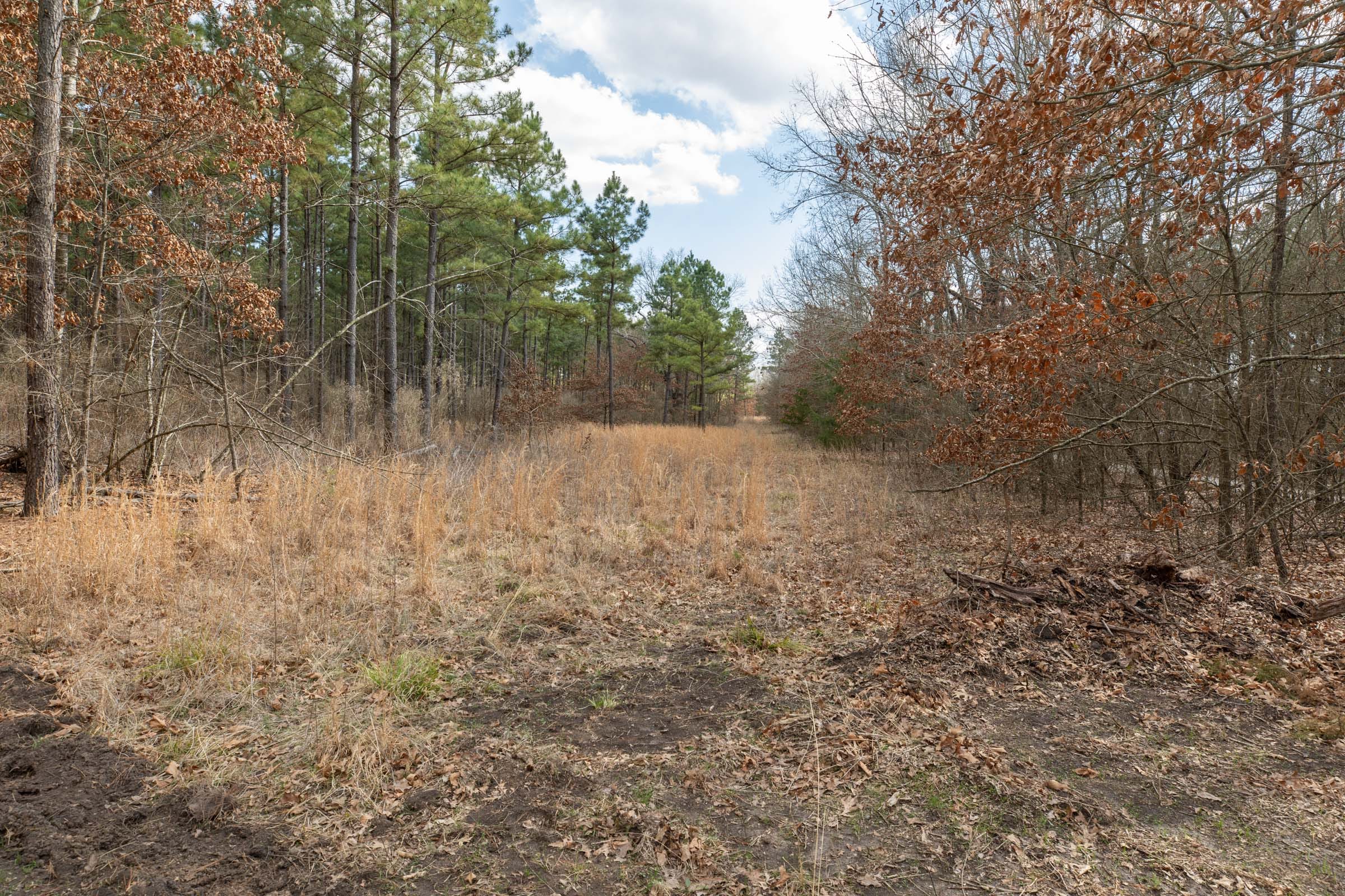 Wishing Star Ranch Tract 58 photo 4