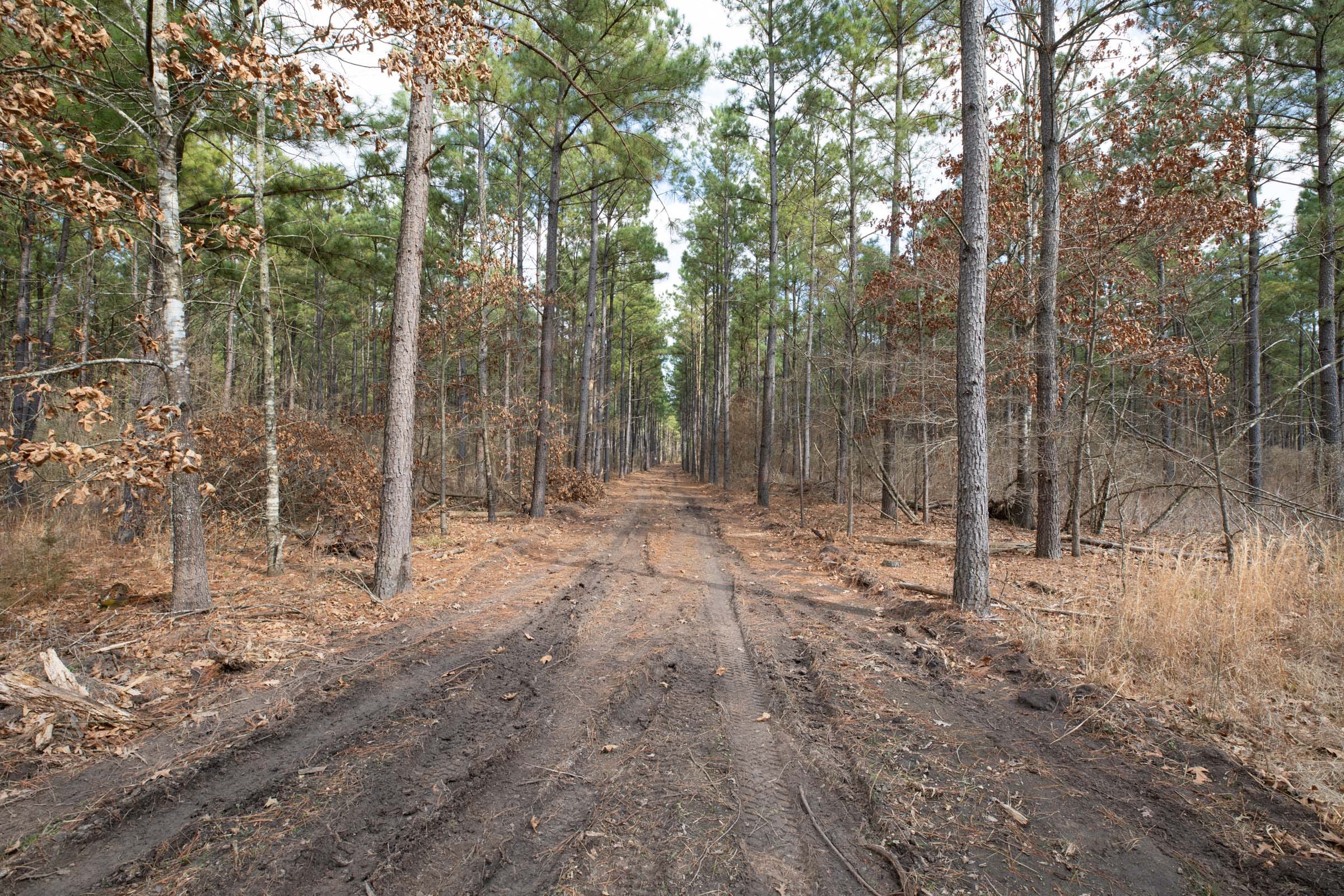 Wishing Star Ranch Tract 58 photo 5