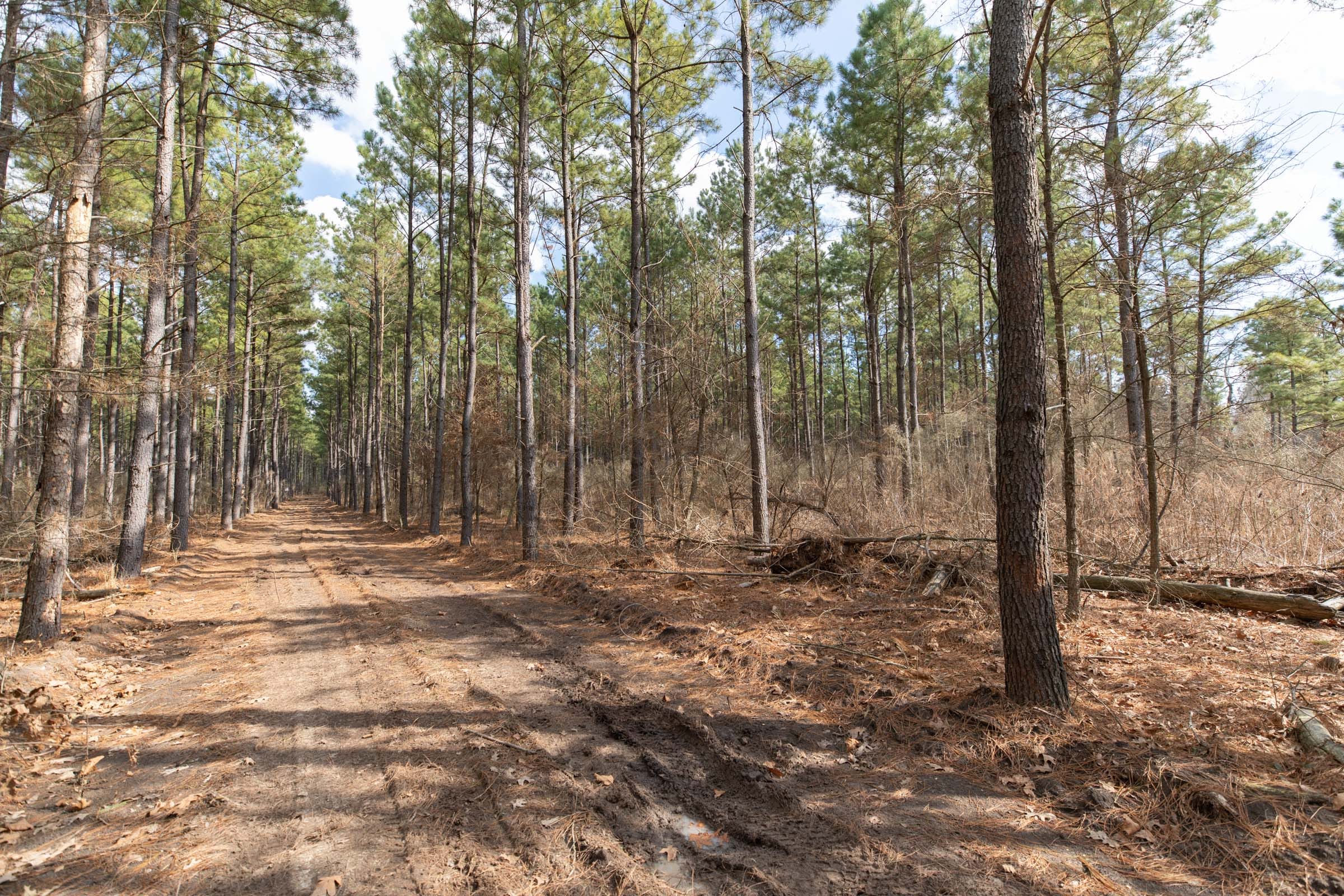 Wishing Star Ranch Tract 58 photo 7