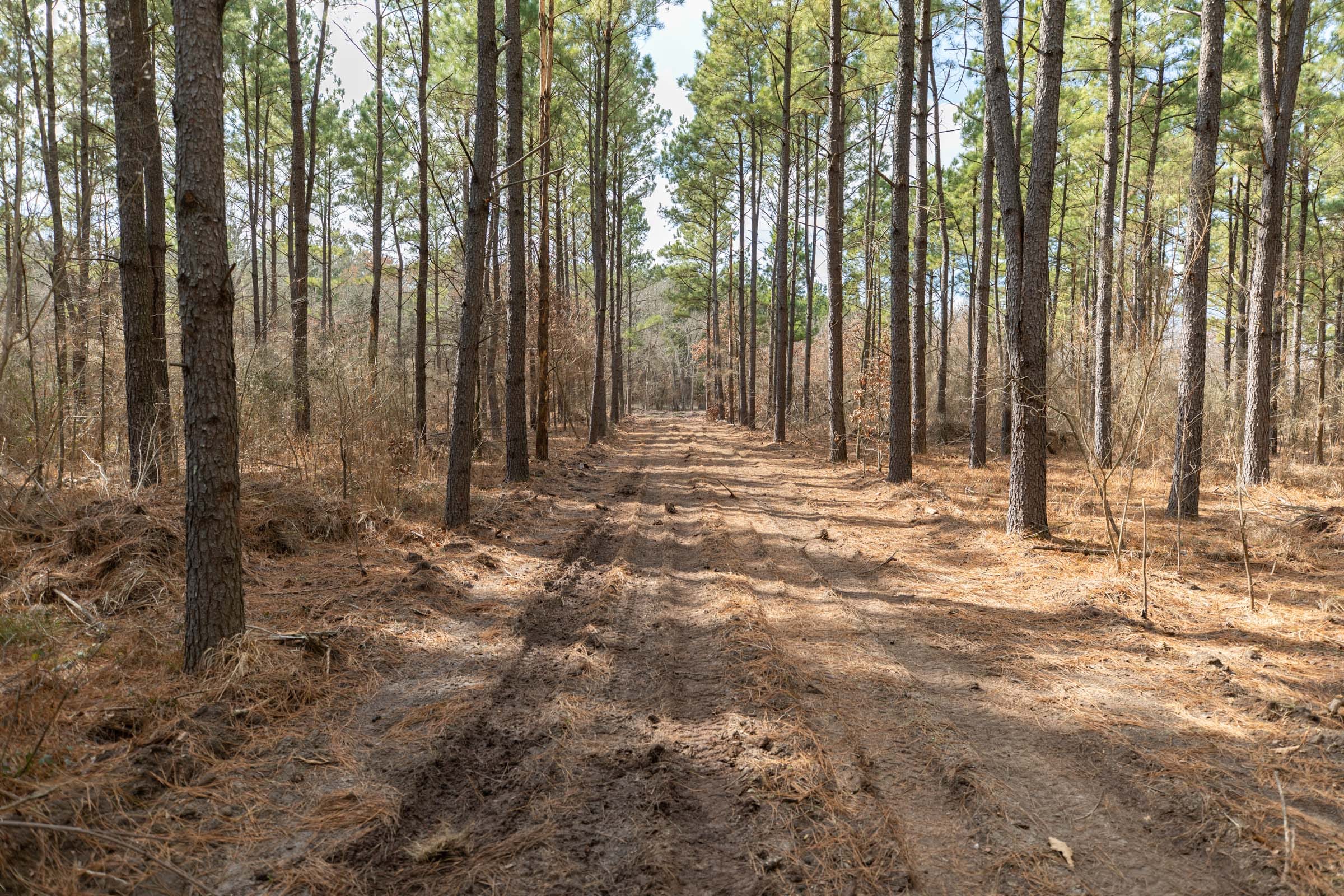 Wishing Star Ranch Tract 58 photo 10