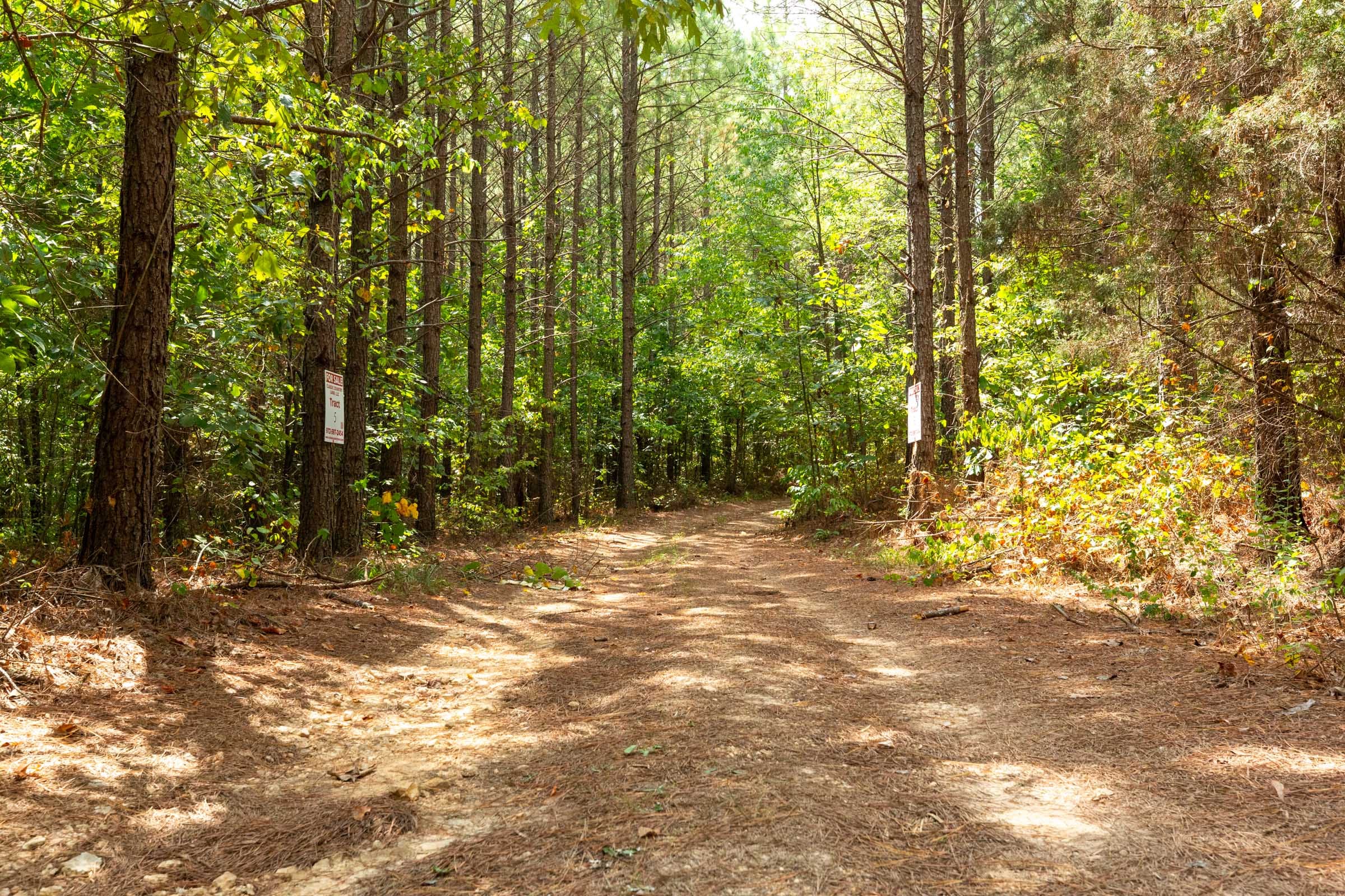 Harvest Ridge Tract 8 photo 1