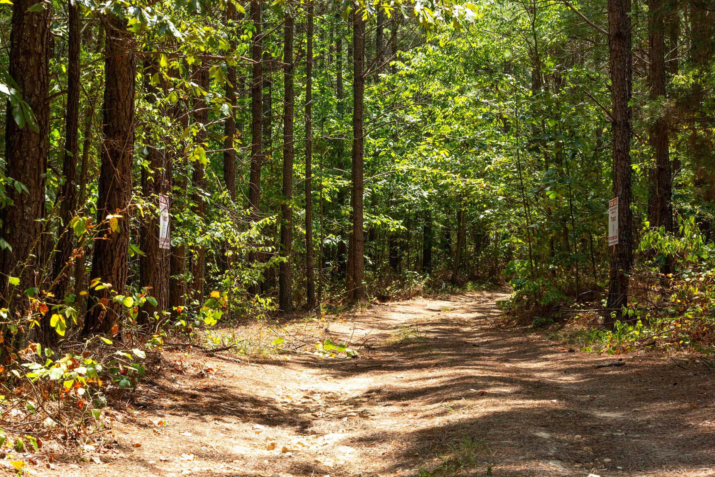 Harvest Ridge Tract 8 photo 7
