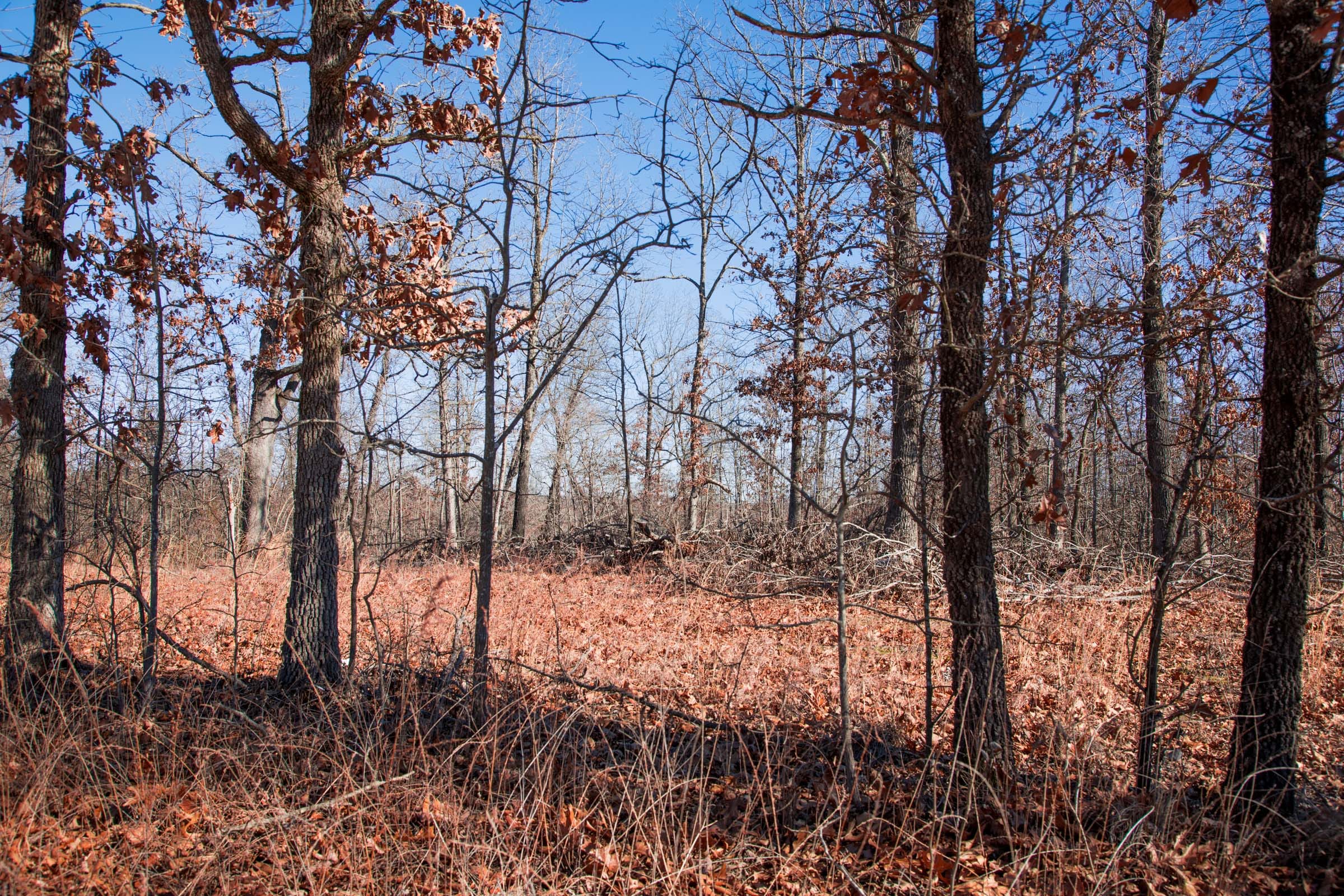 Buffalo Hills Tract 17 photo 2