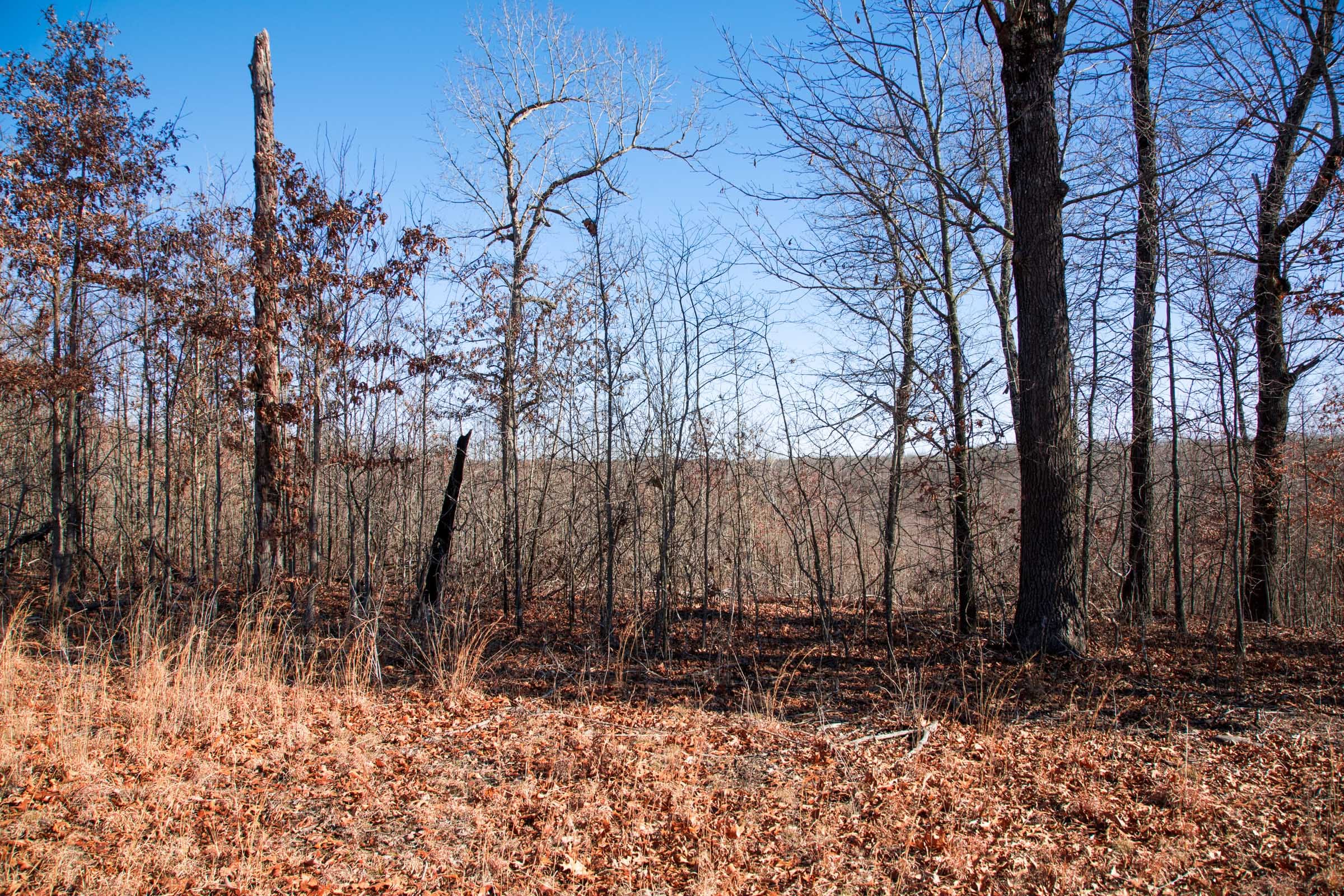 Buffalo Hills Tract 17 photo 4