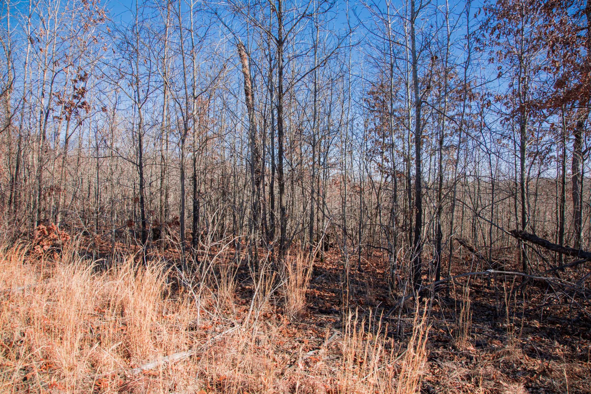 Buffalo Hills Tract 17 photo 6