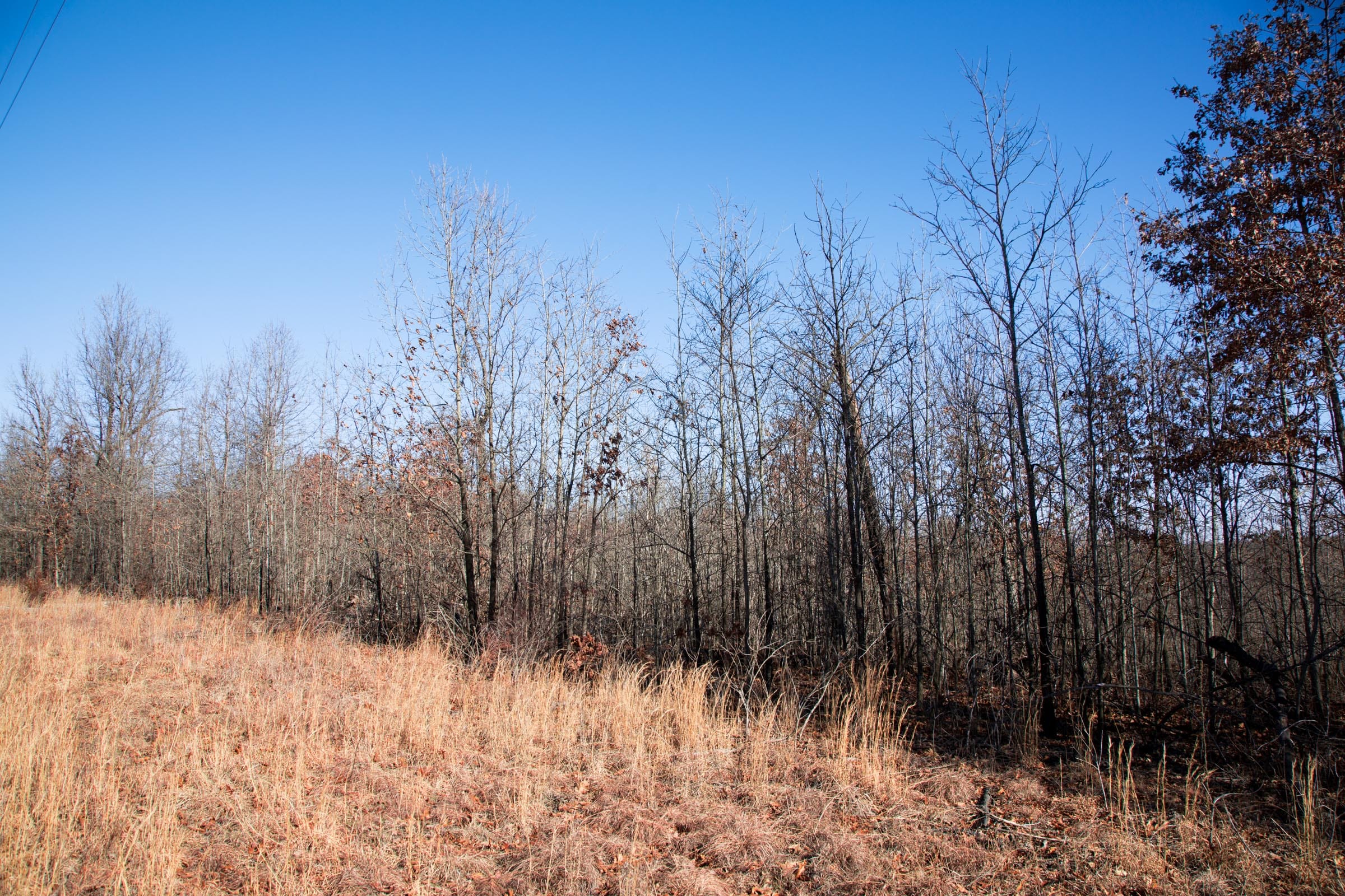 Buffalo Hills Tract 17 photo 7