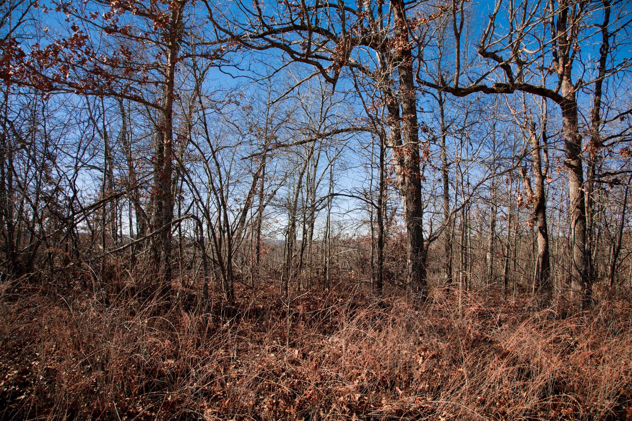 Buffalo Hills Tract 17 photo 8