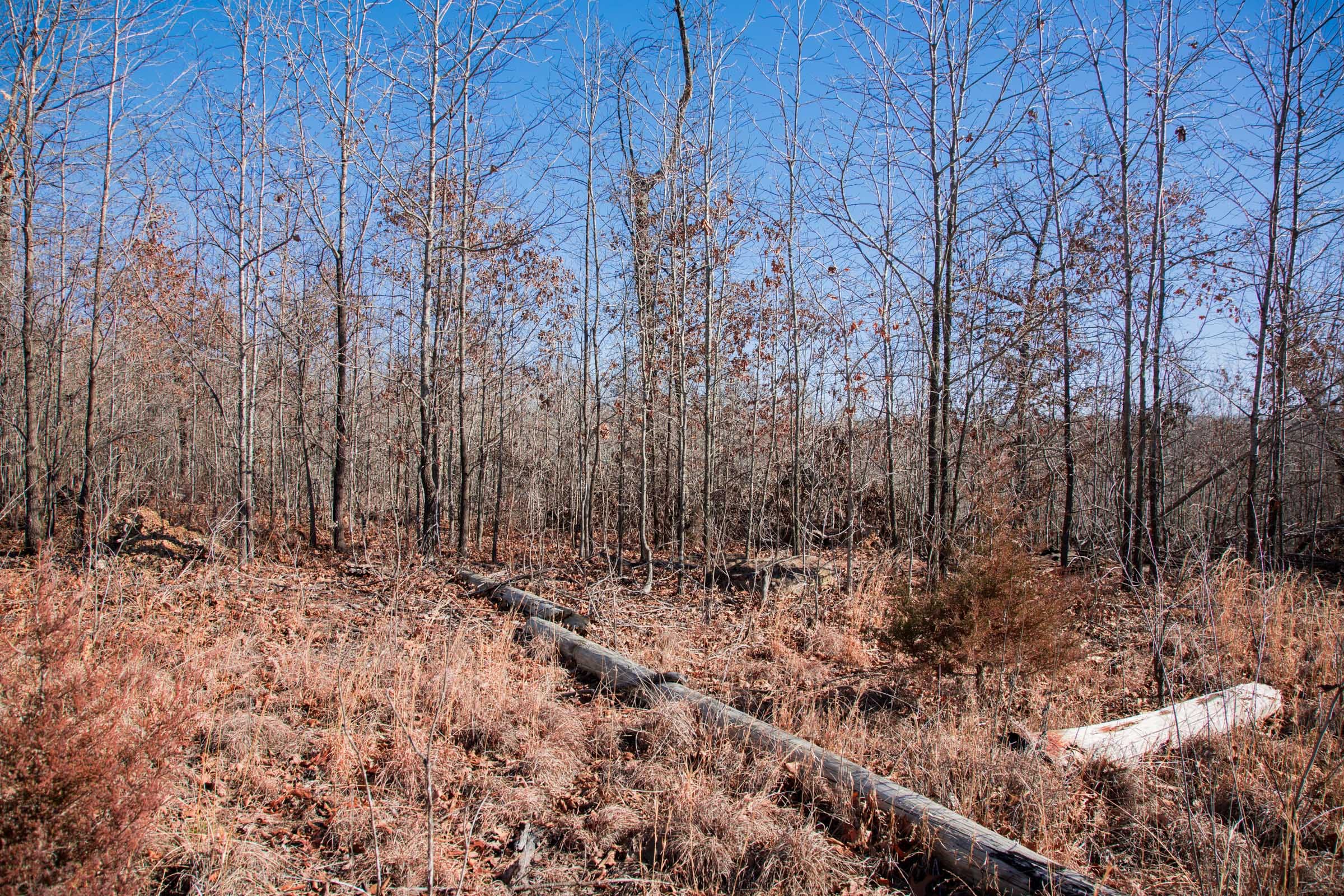 Buffalo Hills Tract 17 photo 10