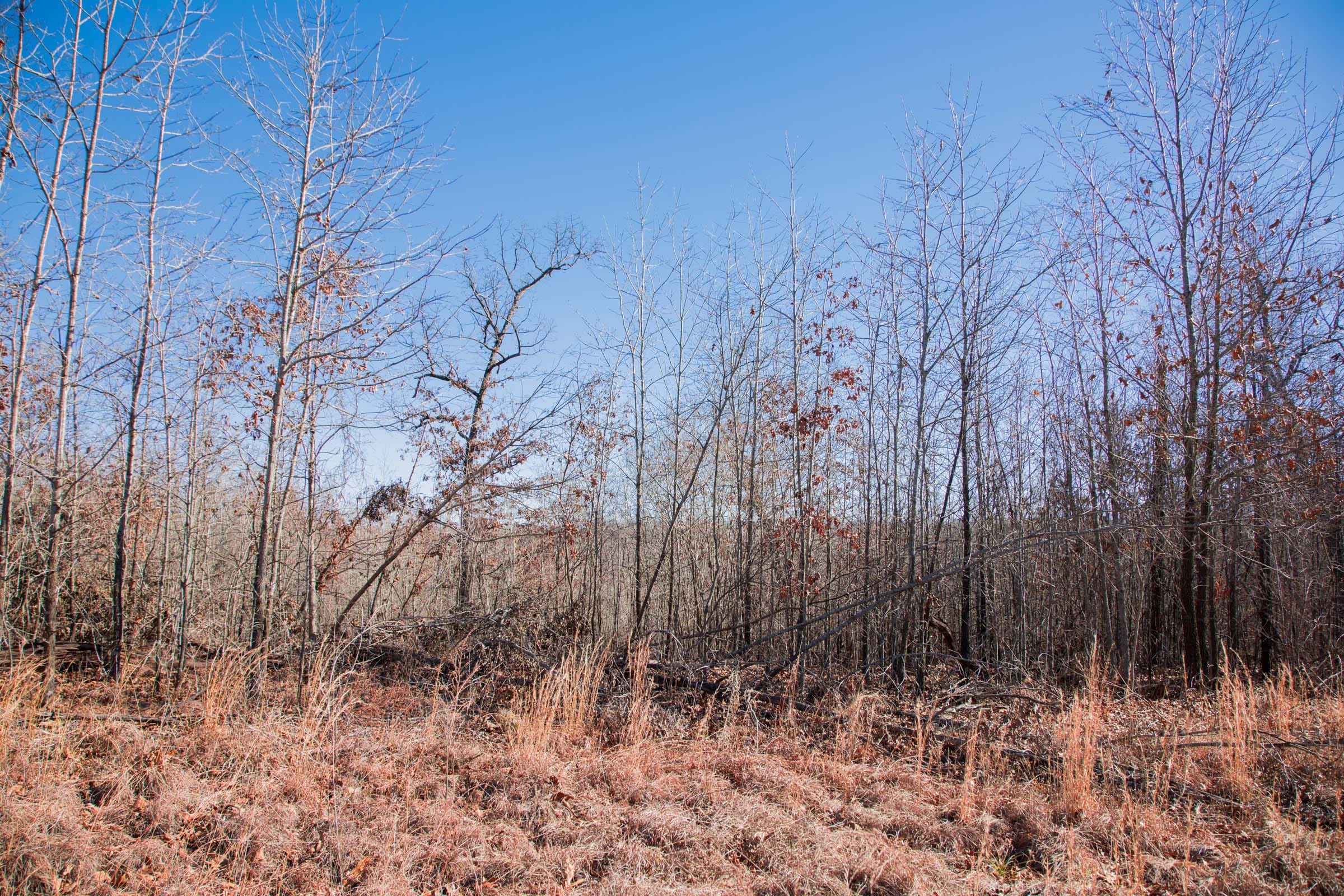 Buffalo Hills Tract 17 photo 11