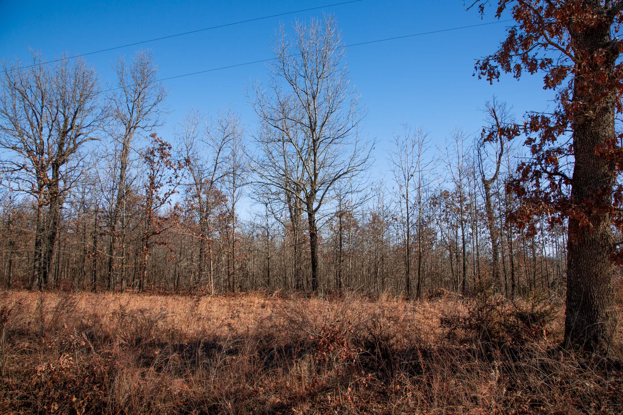 Buffalo Hills Tract 17 photo 13