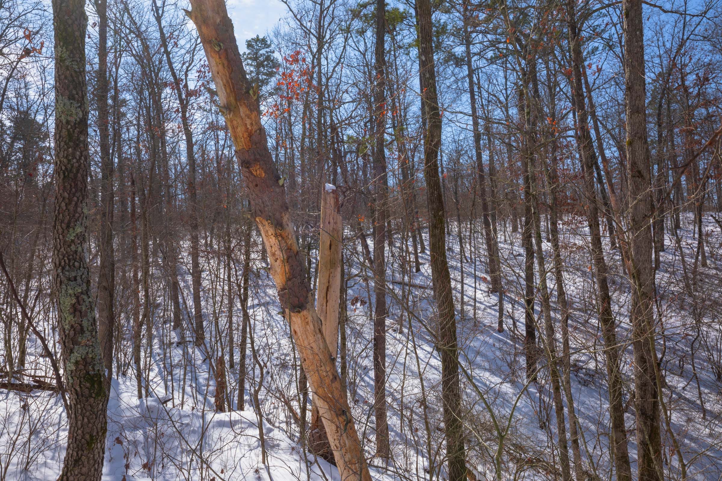 Sleepy Hollow Phase I Tract 47 photo 10