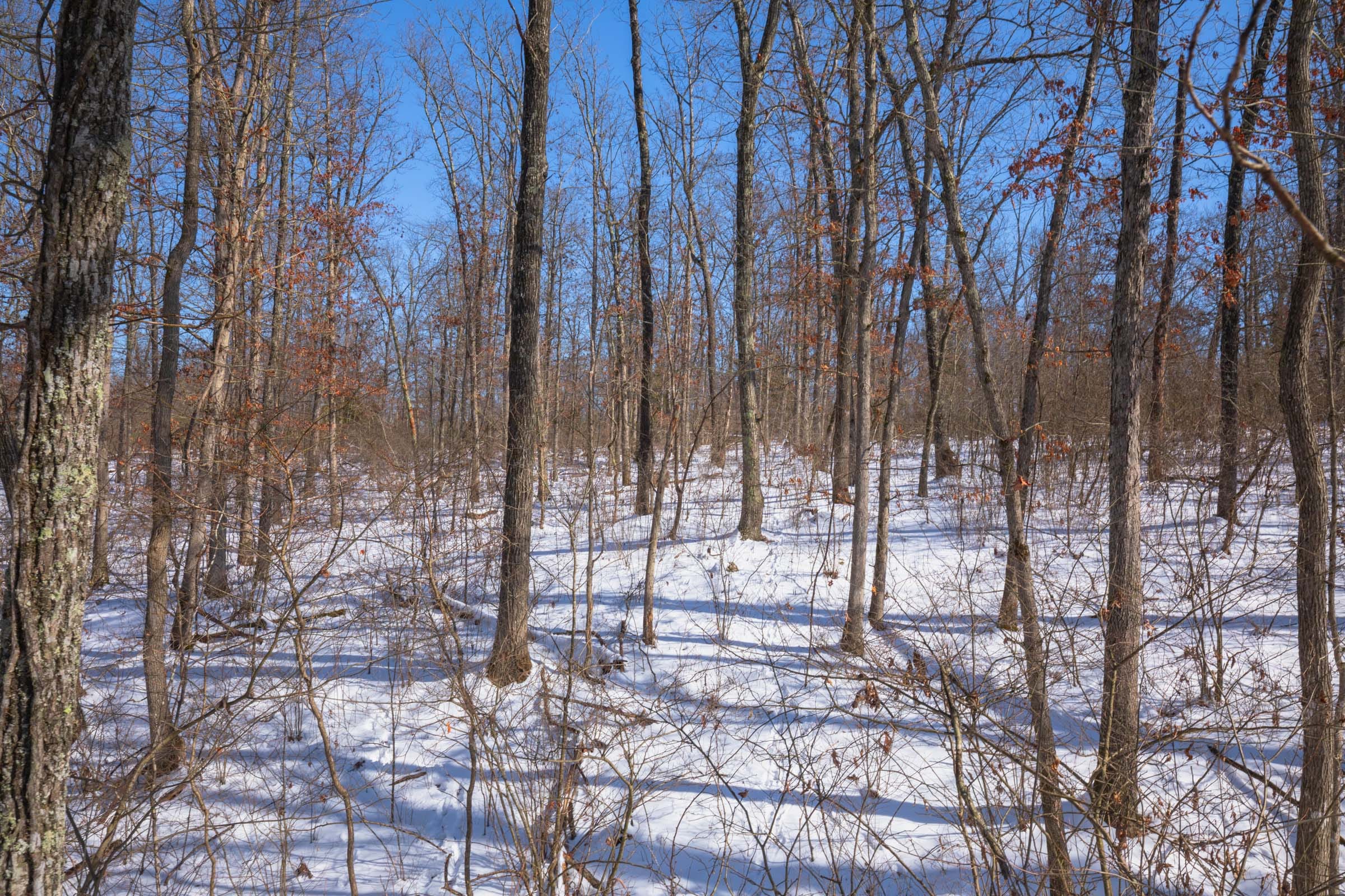 Sleepy Hollow Phase I Tract 47 photo 1