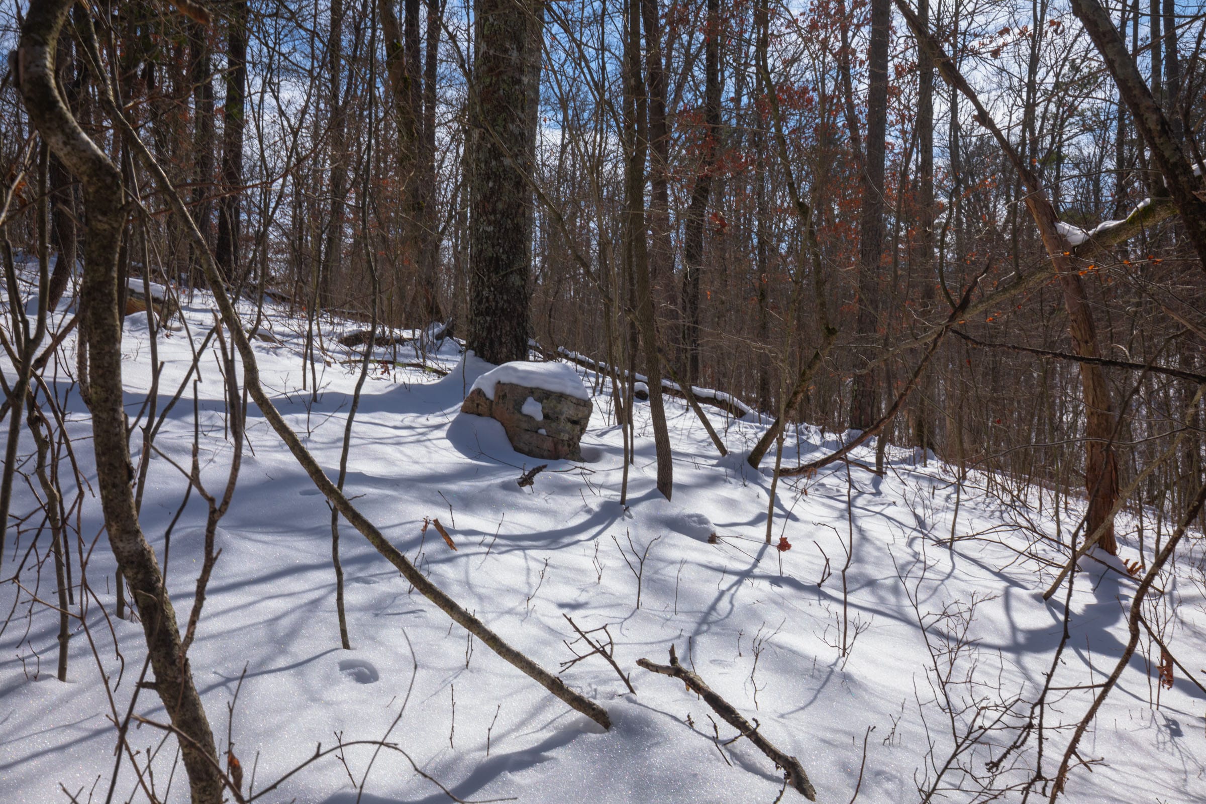 Sleepy Hollow Phase I Tract 47 photo 2