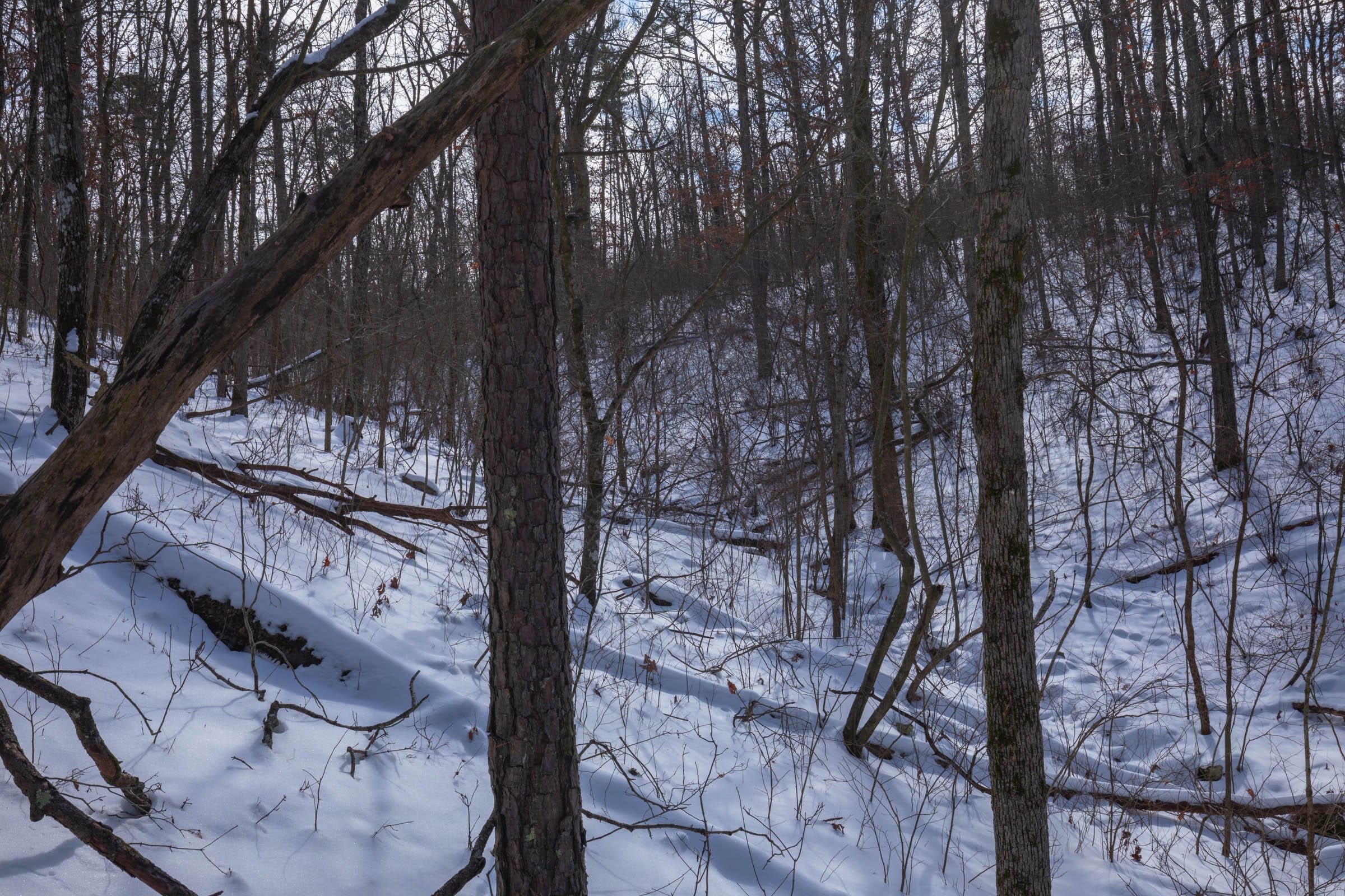 Sleepy Hollow Phase I Tract 47 photo 6