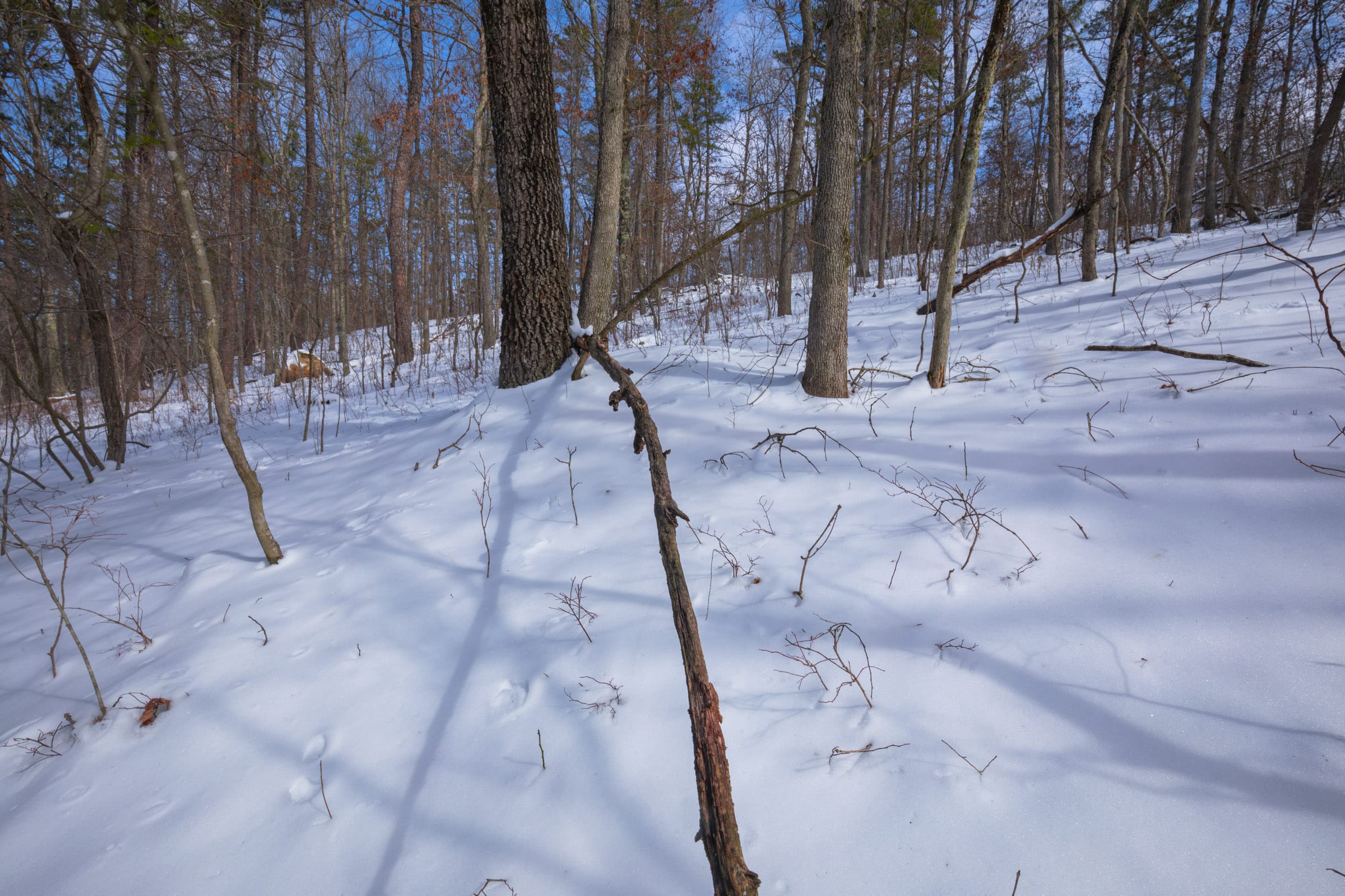 Sleepy Hollow Phase I Tract 47 photo 7
