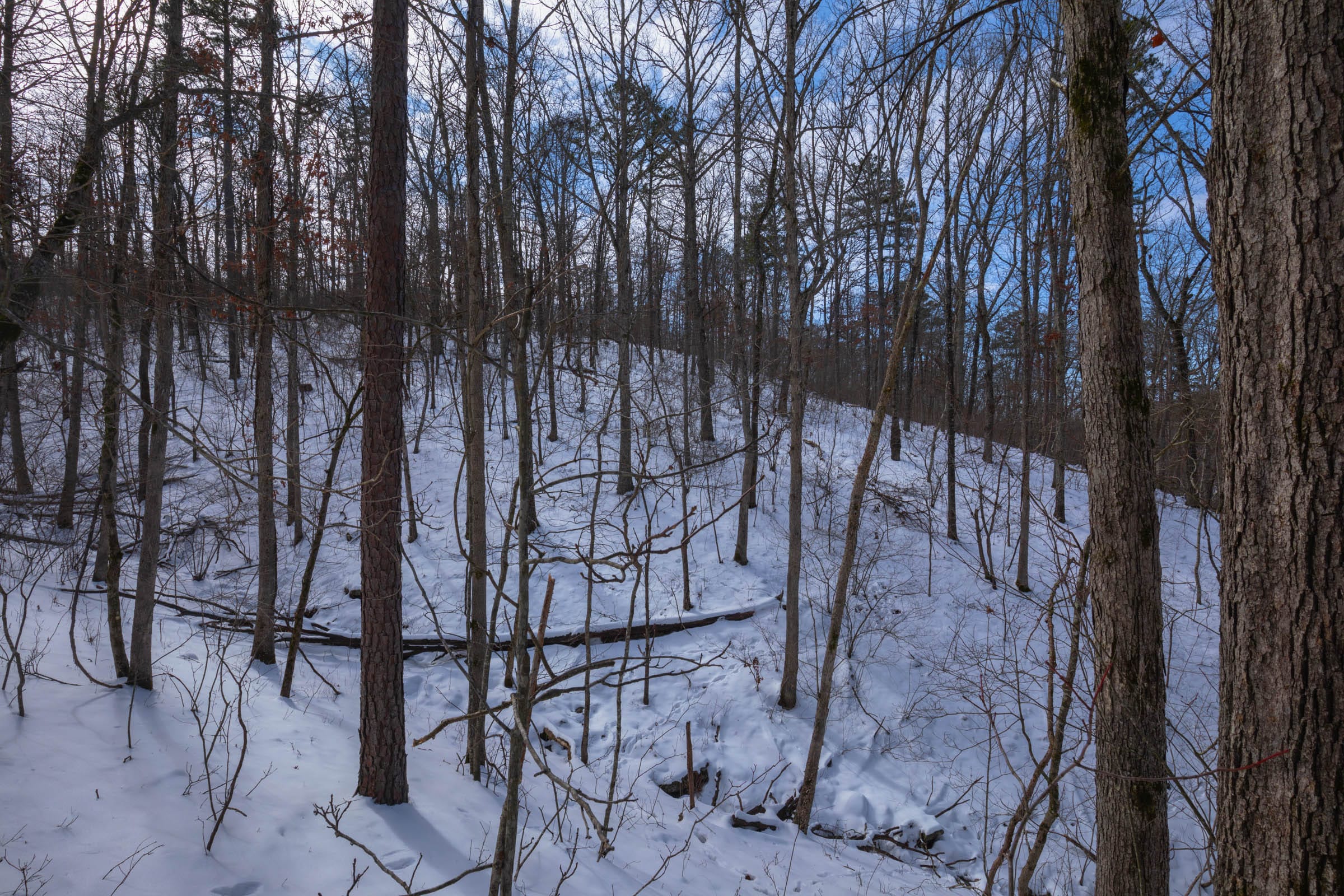 Sleepy Hollow Phase I Tract 47 photo 3