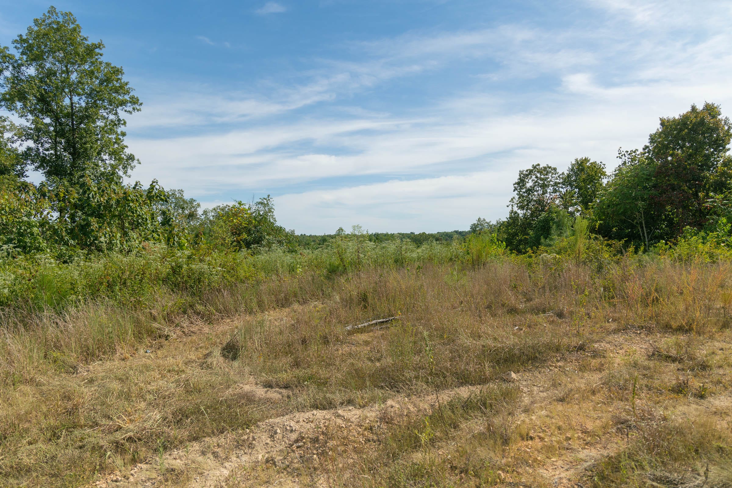 Big White Oak Tract 41 photo 8