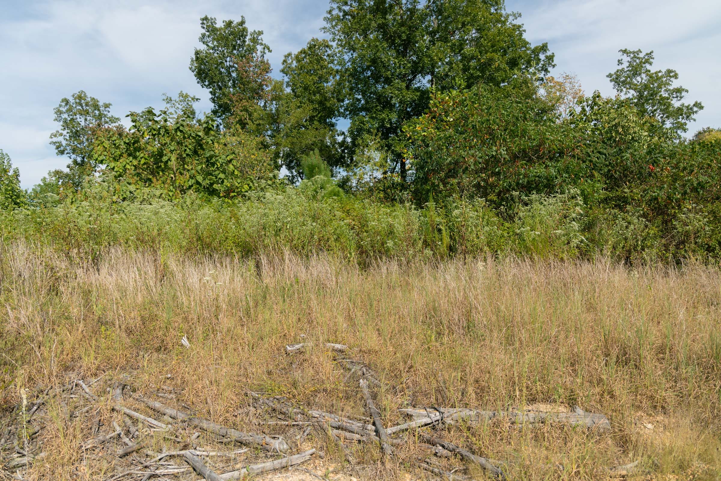 Big White Oak Tract 41 photo 4