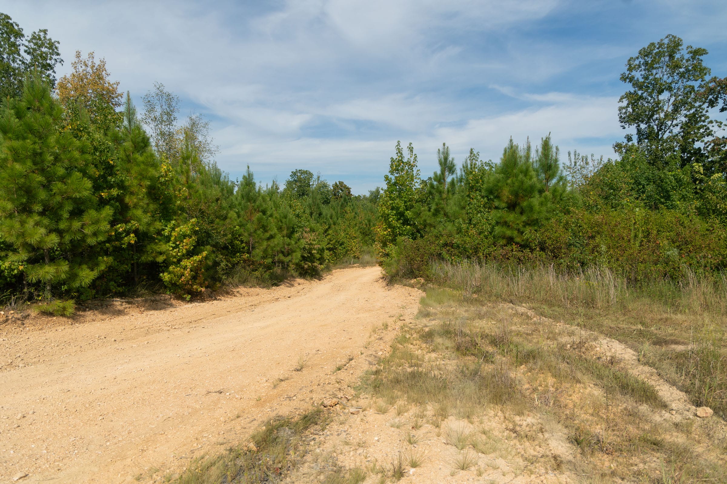 Big White Oak Tract 41 photo 2