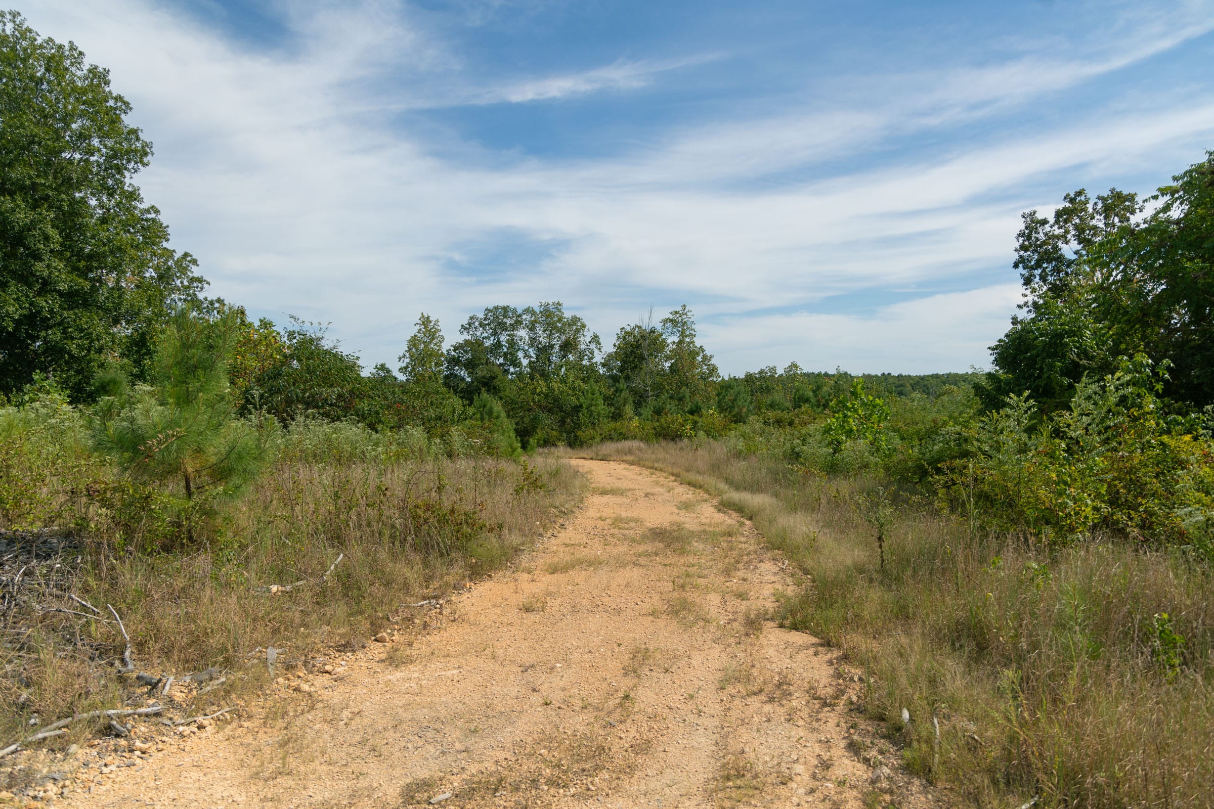 Big White Oak Tract 41 photo 1